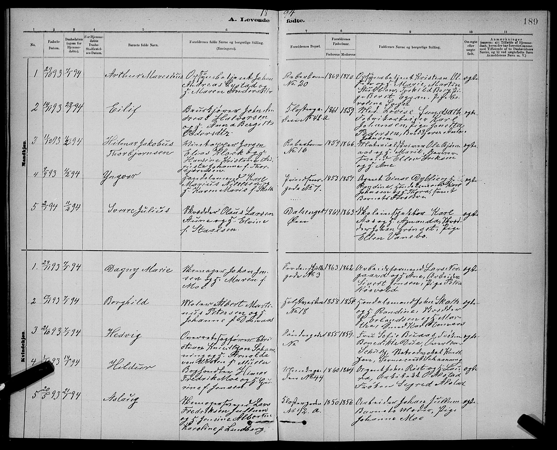 Ministerialprotokoller, klokkerbøker og fødselsregistre - Sør-Trøndelag, SAT/A-1456/601/L0092: Parish register (copy) no. 601C10, 1884-1897, p. 189
