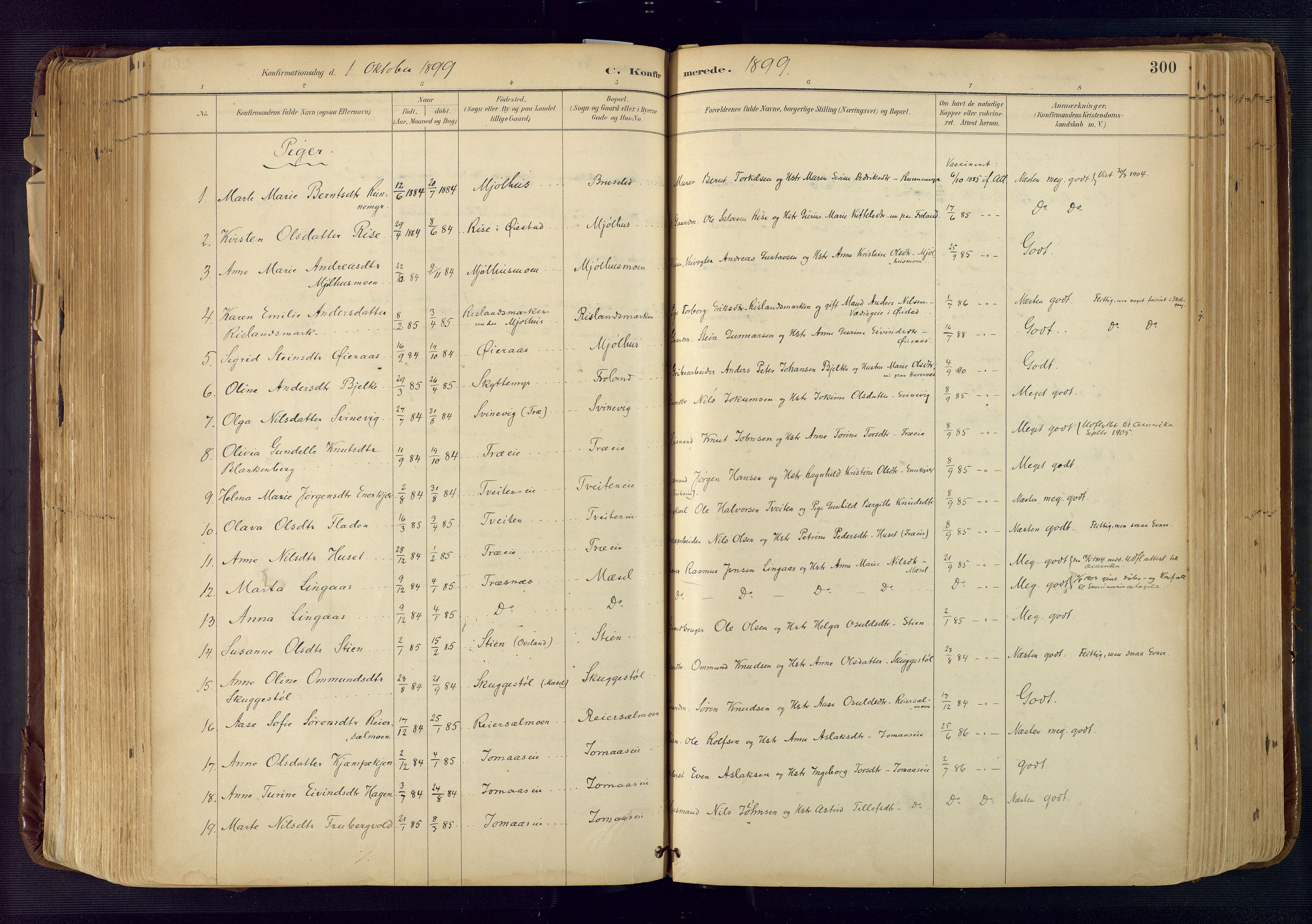 Froland sokneprestkontor, AV/SAK-1111-0013/F/Fa/L0005: Parish register (official) no. A 5, 1882-1921, p. 300