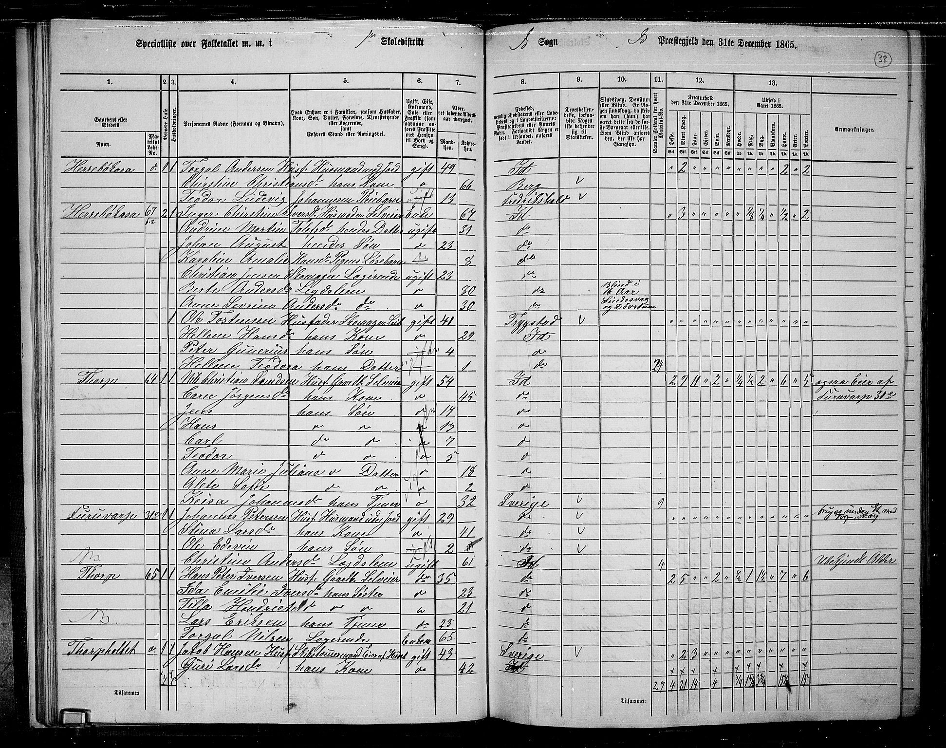 RA, 1865 census for Idd, 1865, p. 36