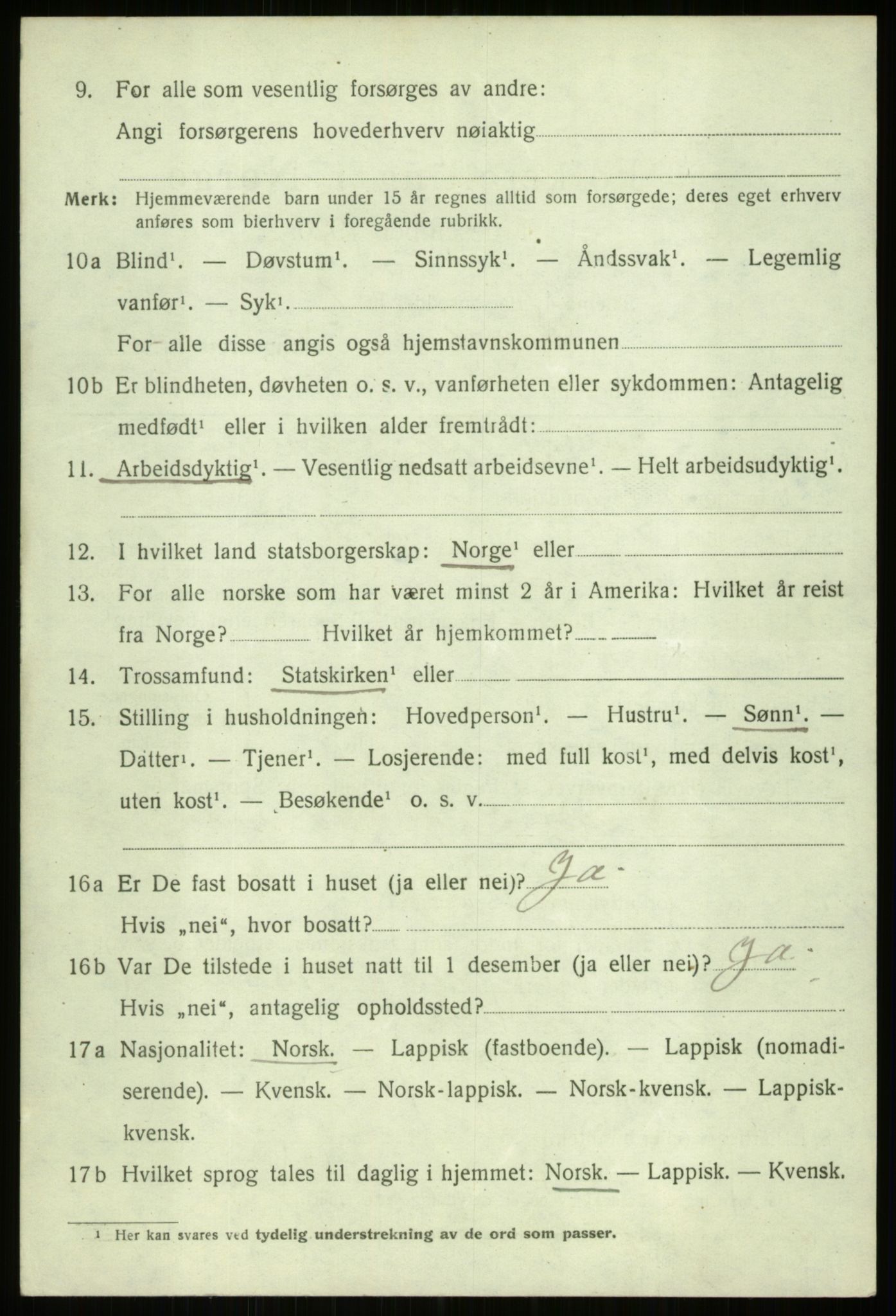 SATØ, 1920 census for Ibestad, 1920, p. 11260