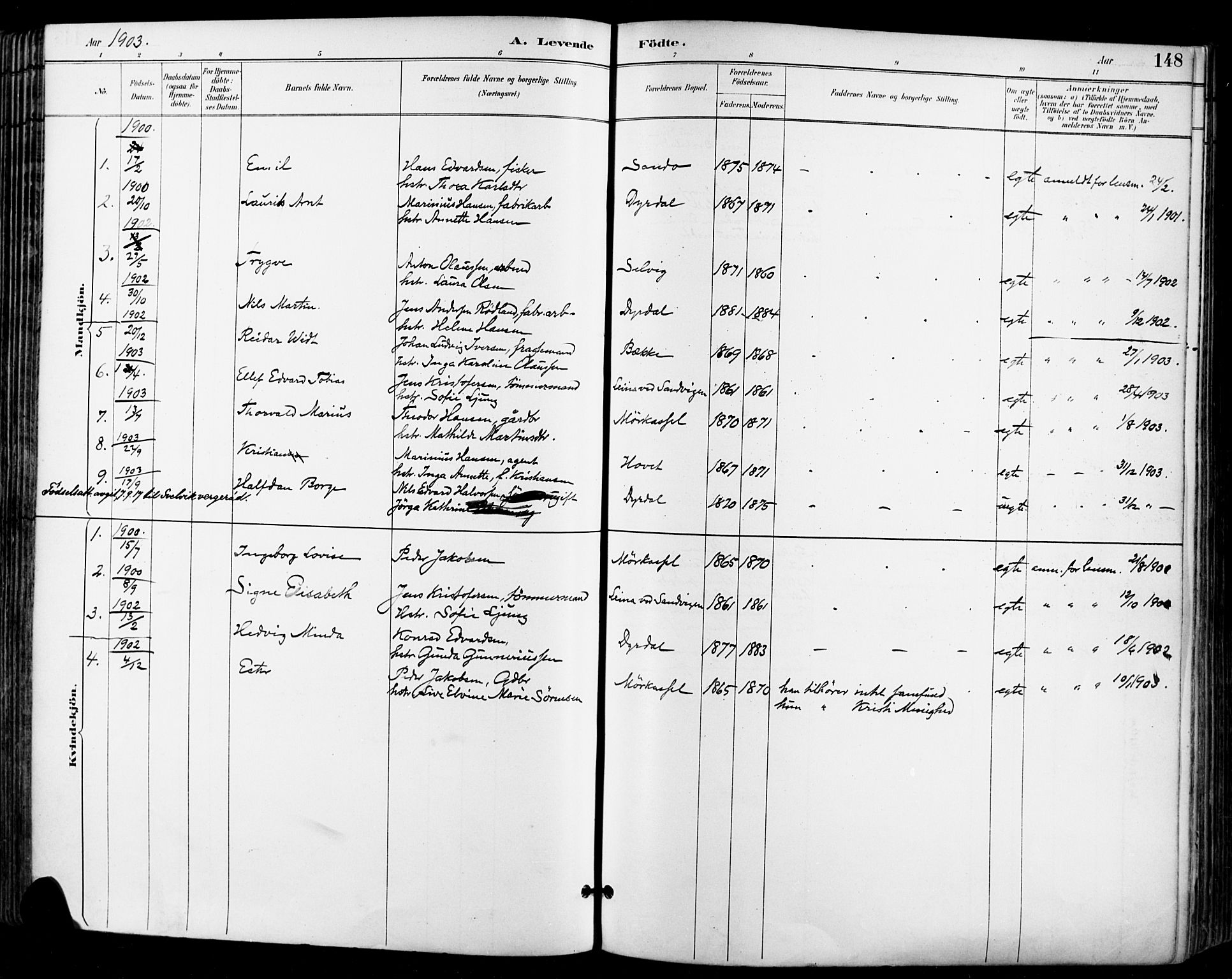Sande Kirkebøker, SAKO/A-53/F/Fa/L0007: Parish register (official) no. 7, 1888-1903, p. 148