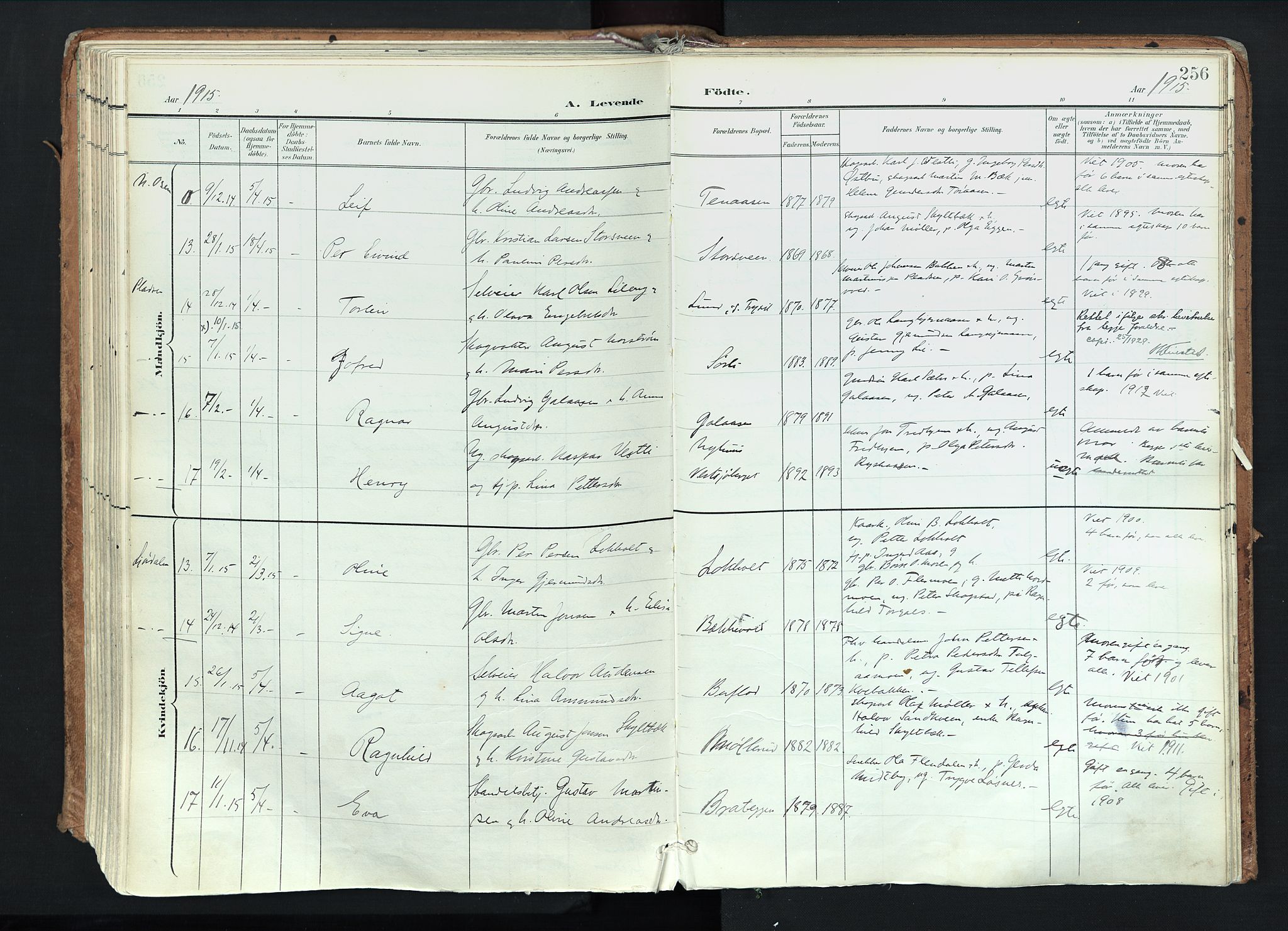 Trysil prestekontor, AV/SAH-PREST-046/H/Ha/Haa/L0012: Parish register (official) no. 12, 1898-1917, p. 256