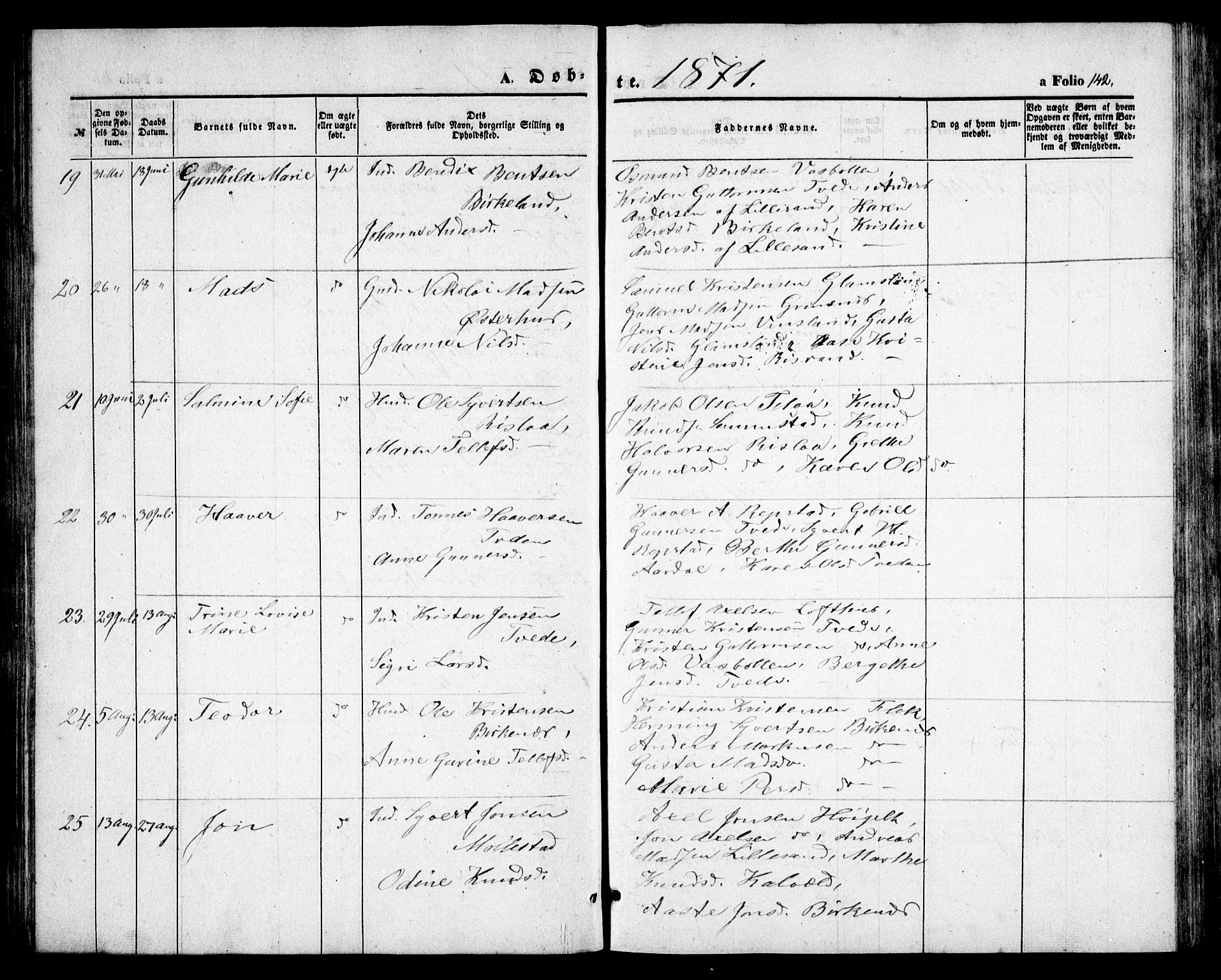 Birkenes sokneprestkontor, AV/SAK-1111-0004/F/Fb/L0002: Parish register (copy) no. B 2, 1849-1876, p. 142