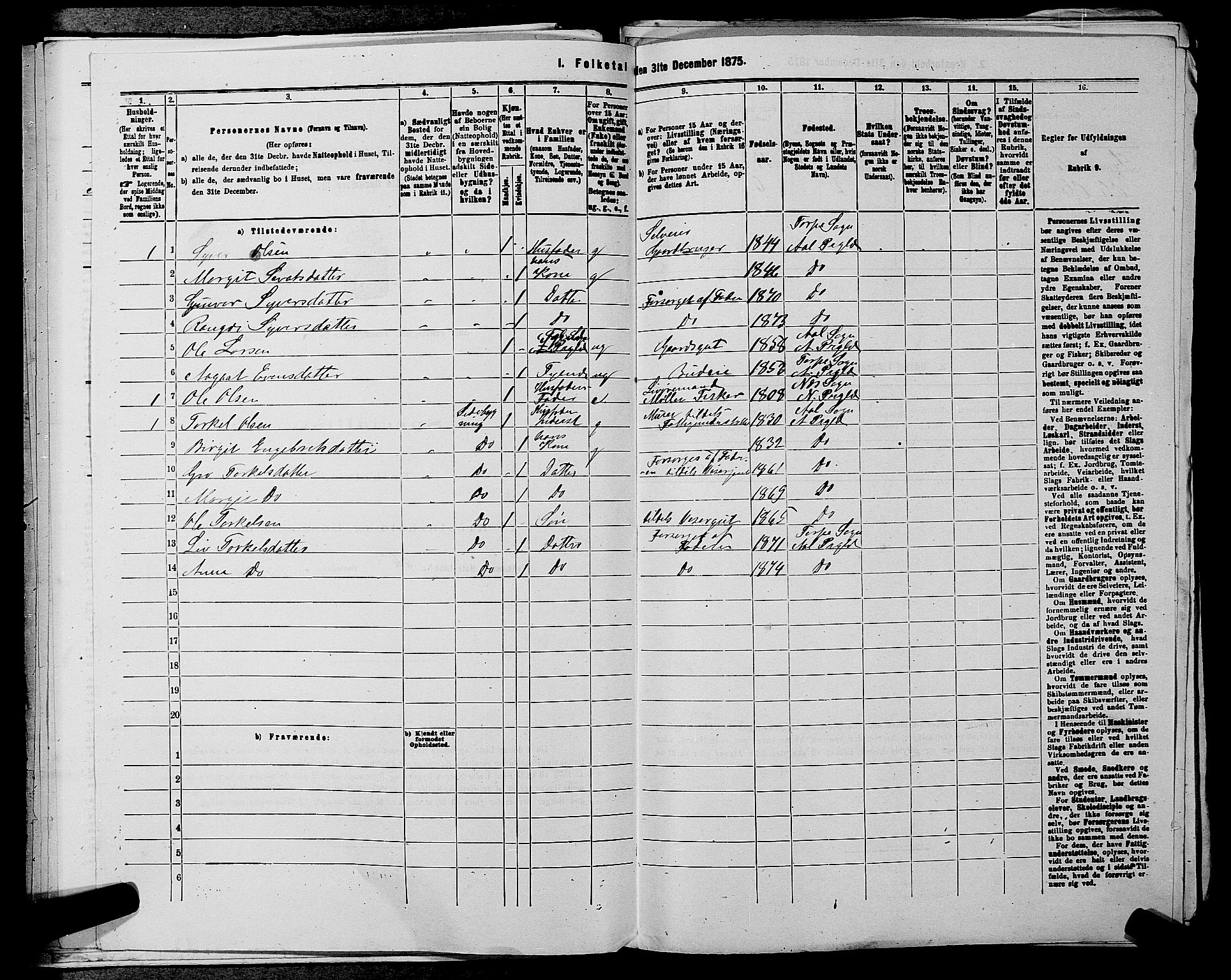 SAKO, 1875 census for 0619P Ål, 1875, p. 243