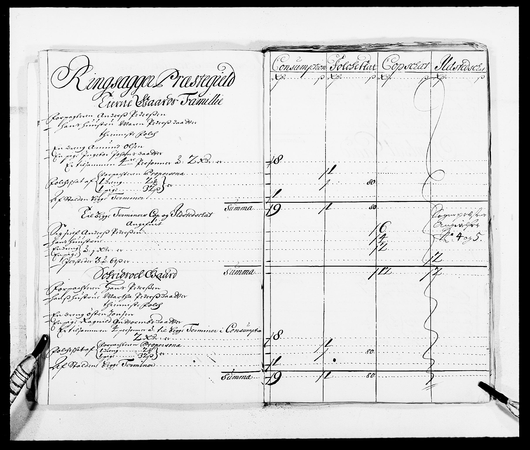 Rentekammeret inntil 1814, Reviderte regnskaper, Fogderegnskap, AV/RA-EA-4092/R16/L1030: Fogderegnskap Hedmark, 1689-1691, p. 380