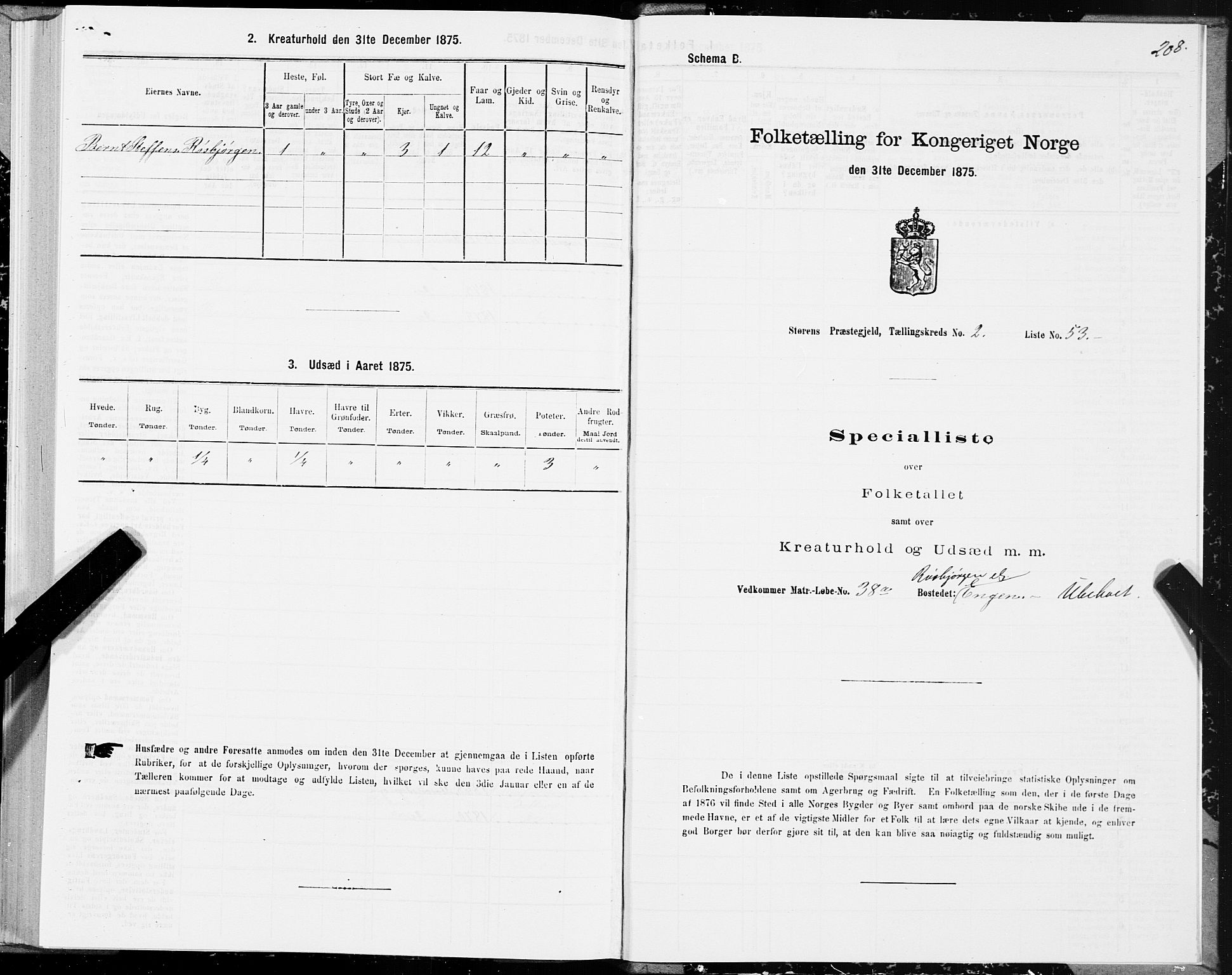 SAT, 1875 census for 1648P Støren, 1875, p. 1208