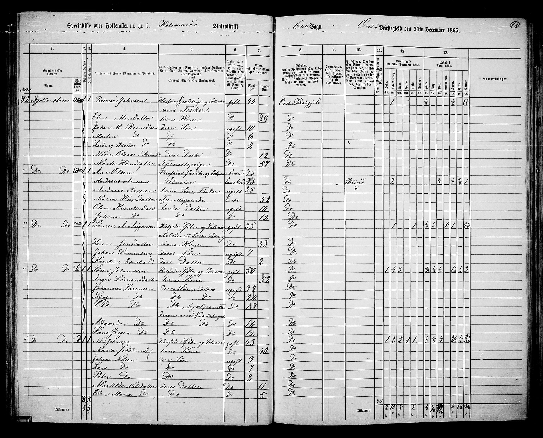 RA, 1865 census for Onsøy, 1865, p. 91