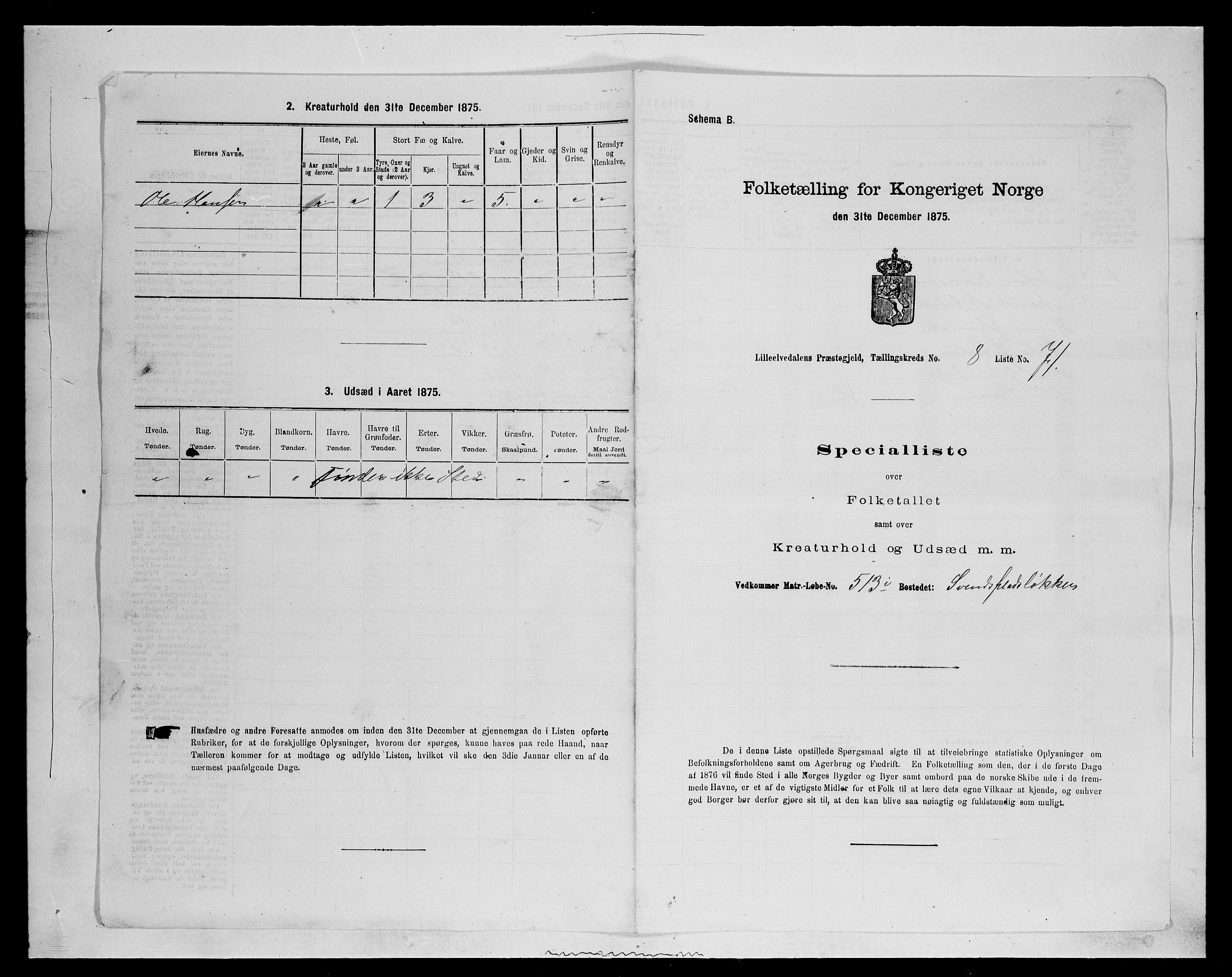 SAH, 1875 census for 0438P Lille Elvedalen, 1875, p. 867