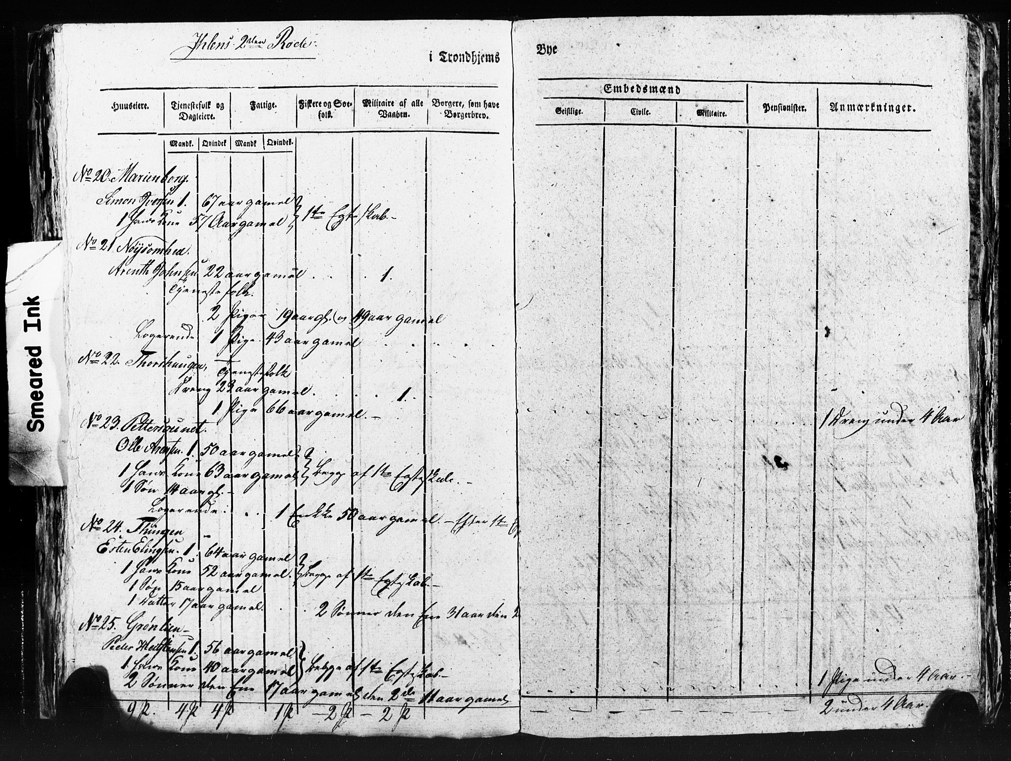 SAT, Census 1815 for Trondheim (transcript), 1815, p. 313