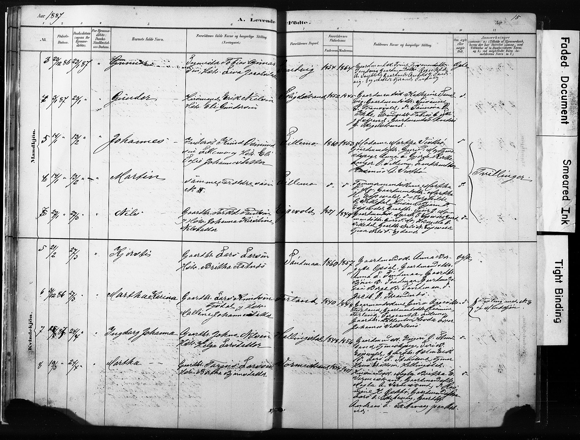 Vikedal sokneprestkontor, AV/SAST-A-101840/01/IV: Parish register (official) no. A 10, 1884-1907, p. 15