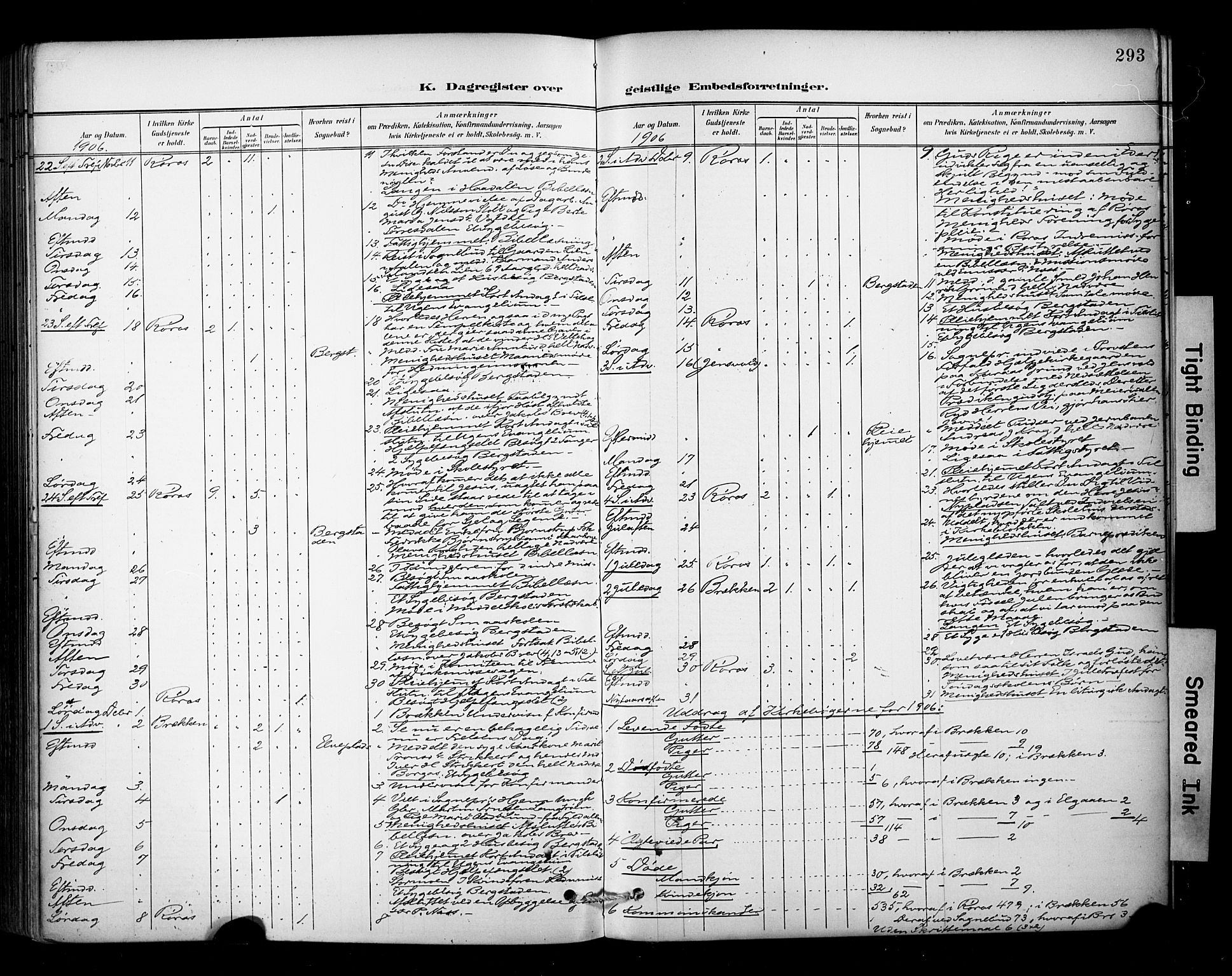 Ministerialprotokoller, klokkerbøker og fødselsregistre - Sør-Trøndelag, AV/SAT-A-1456/681/L0936: Parish register (official) no. 681A14, 1899-1908, p. 293