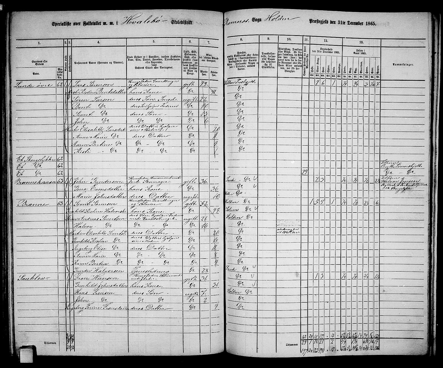 RA, 1865 census for Holla, 1865, p. 127