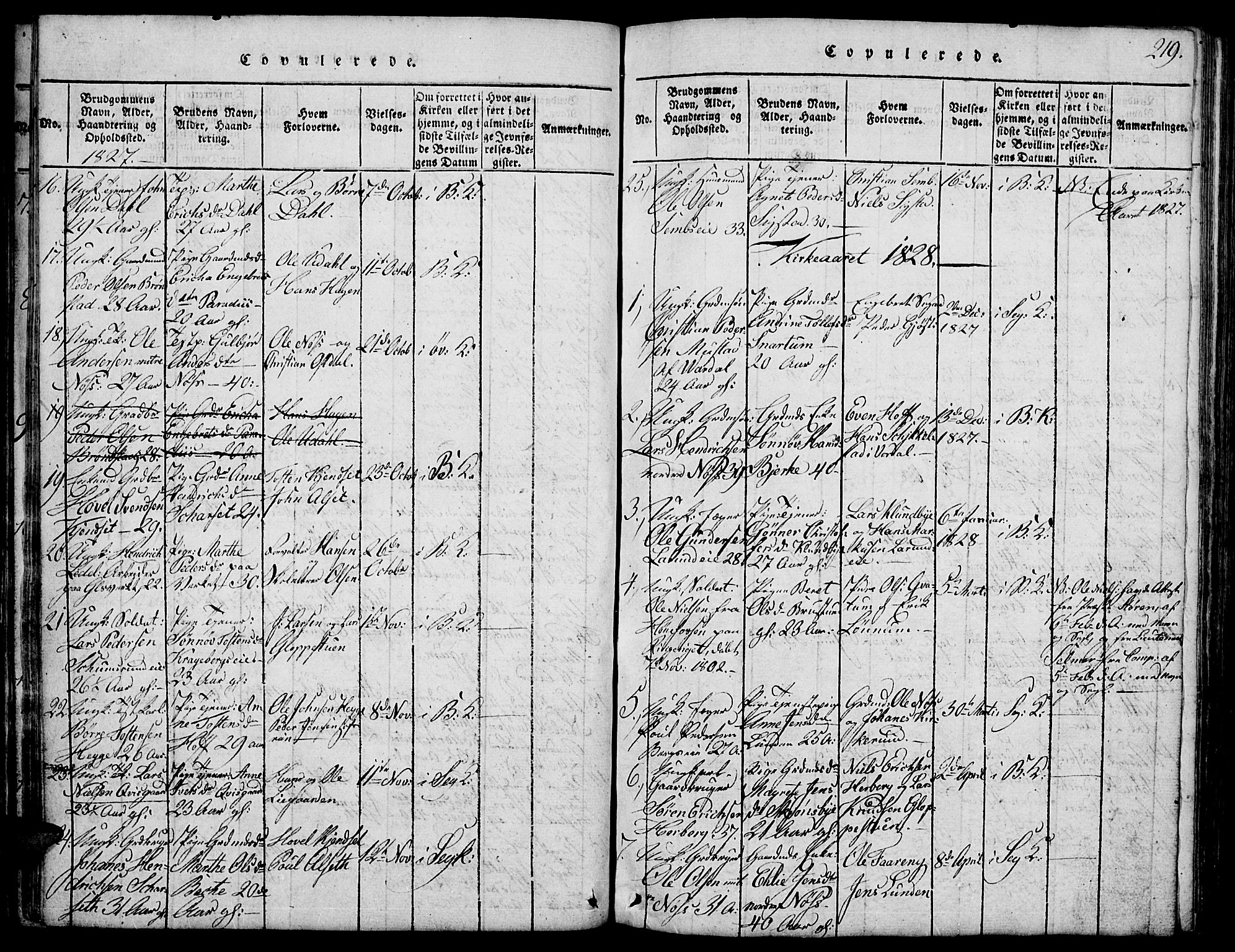 Biri prestekontor, SAH/PREST-096/H/Ha/Hab/L0001: Parish register (copy) no. 1, 1814-1828, p. 219