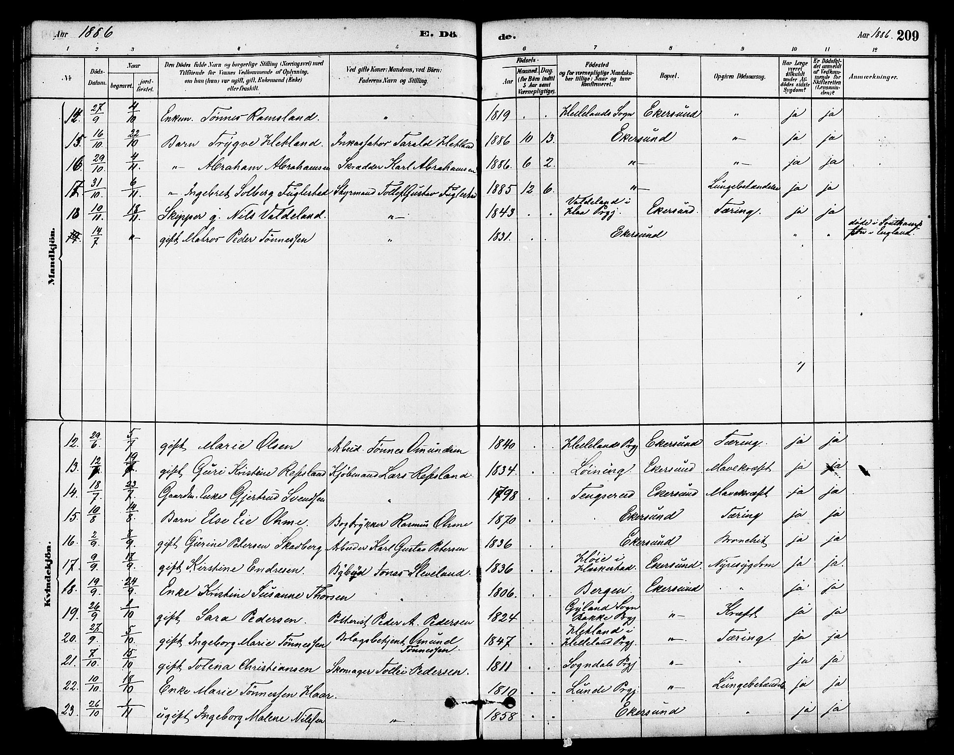 Eigersund sokneprestkontor, SAST/A-101807/S08/L0015: Parish register (official) no. A 15, 1879-1892, p. 209