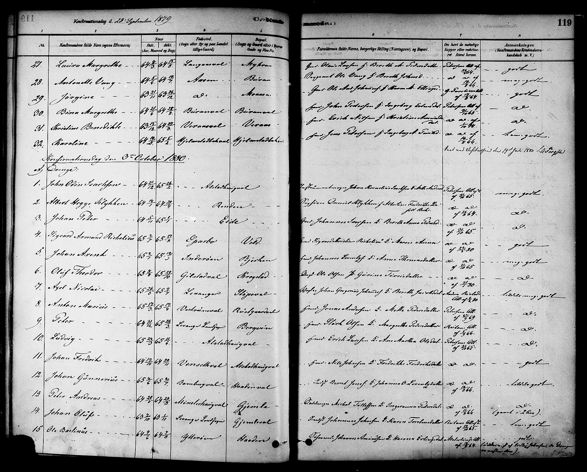 Ministerialprotokoller, klokkerbøker og fødselsregistre - Nord-Trøndelag, SAT/A-1458/717/L0159: Parish register (official) no. 717A09, 1878-1898, p. 119