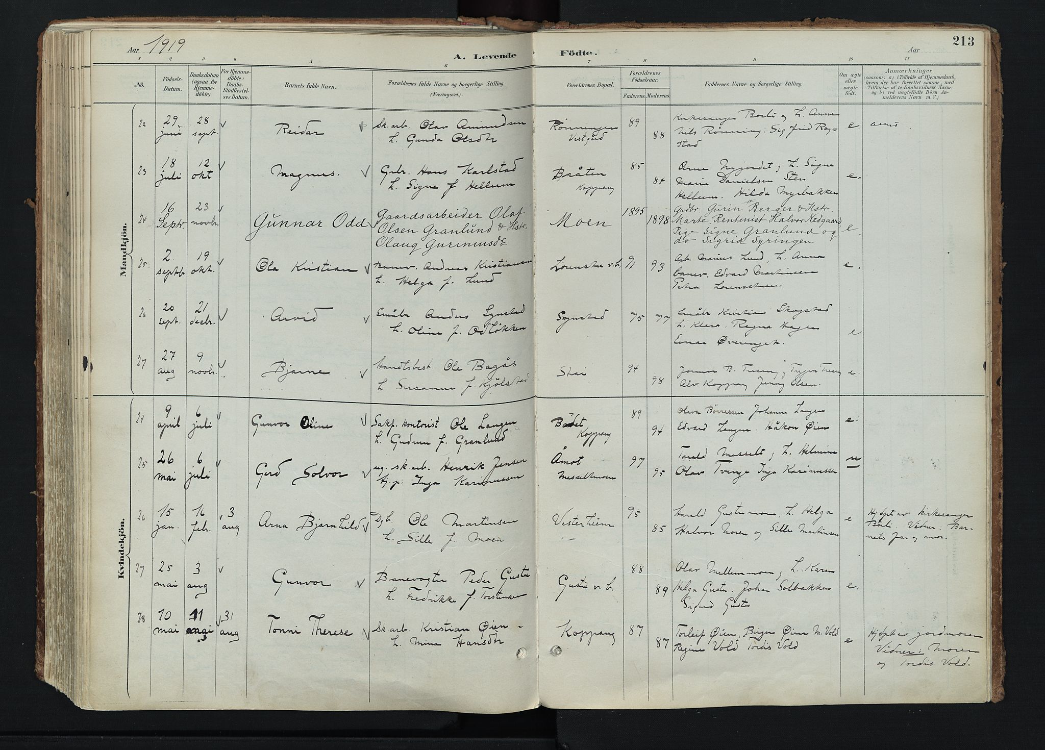 Stor-Elvdal prestekontor, AV/SAH-PREST-052/H/Ha/Haa/L0004: Parish register (official) no. 4, 1890-1922, p. 213