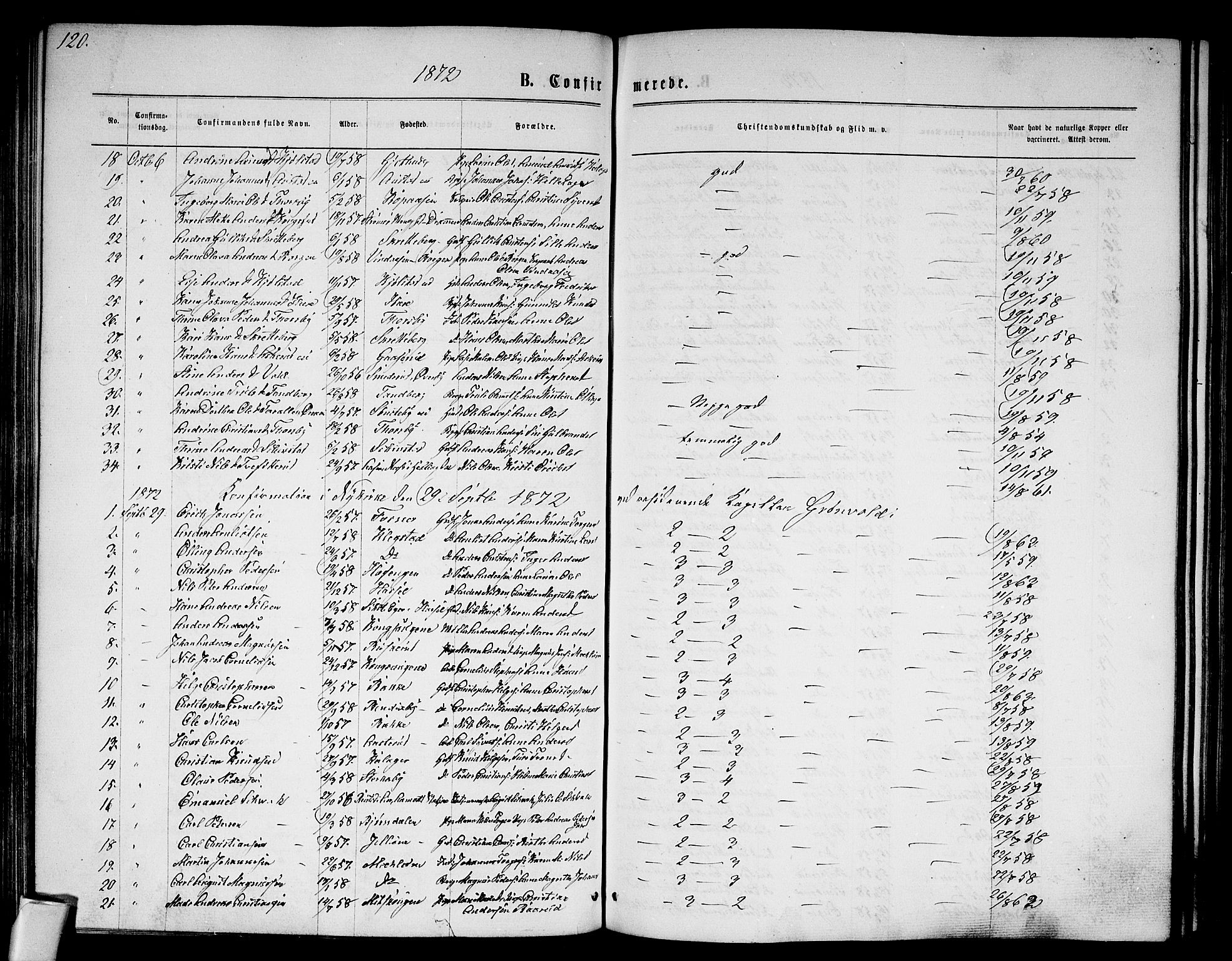 Modum kirkebøker, AV/SAKO-A-234/G/Ga/L0007: Parish register (copy) no. I 7, 1869-1878, p. 120