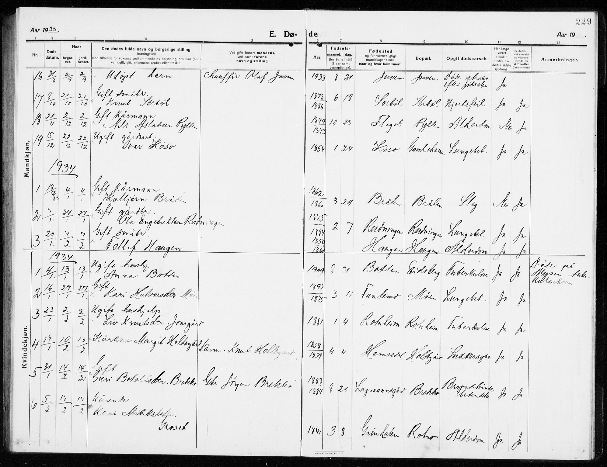 Gol kirkebøker, SAKO/A-226/G/Ga/L0004: Parish register (copy) no. I 4, 1915-1943, p. 229