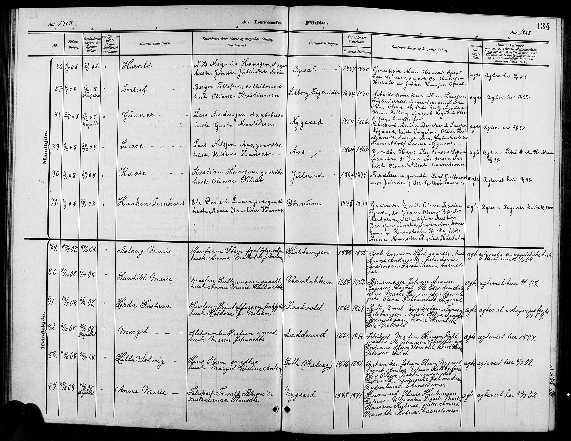 Eidsvoll prestekontor Kirkebøker, SAO/A-10888/G/Ga/L0007: Parish register (copy) no. I 7, 1901-1909, p. 134