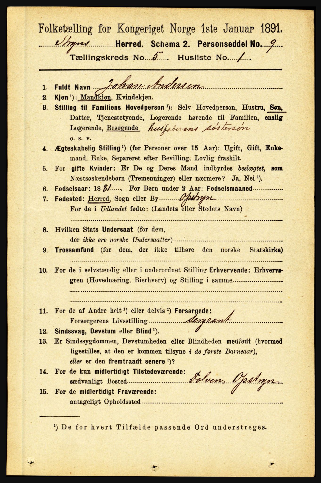 RA, 1891 census for 1448 Stryn, 1891, p. 2019