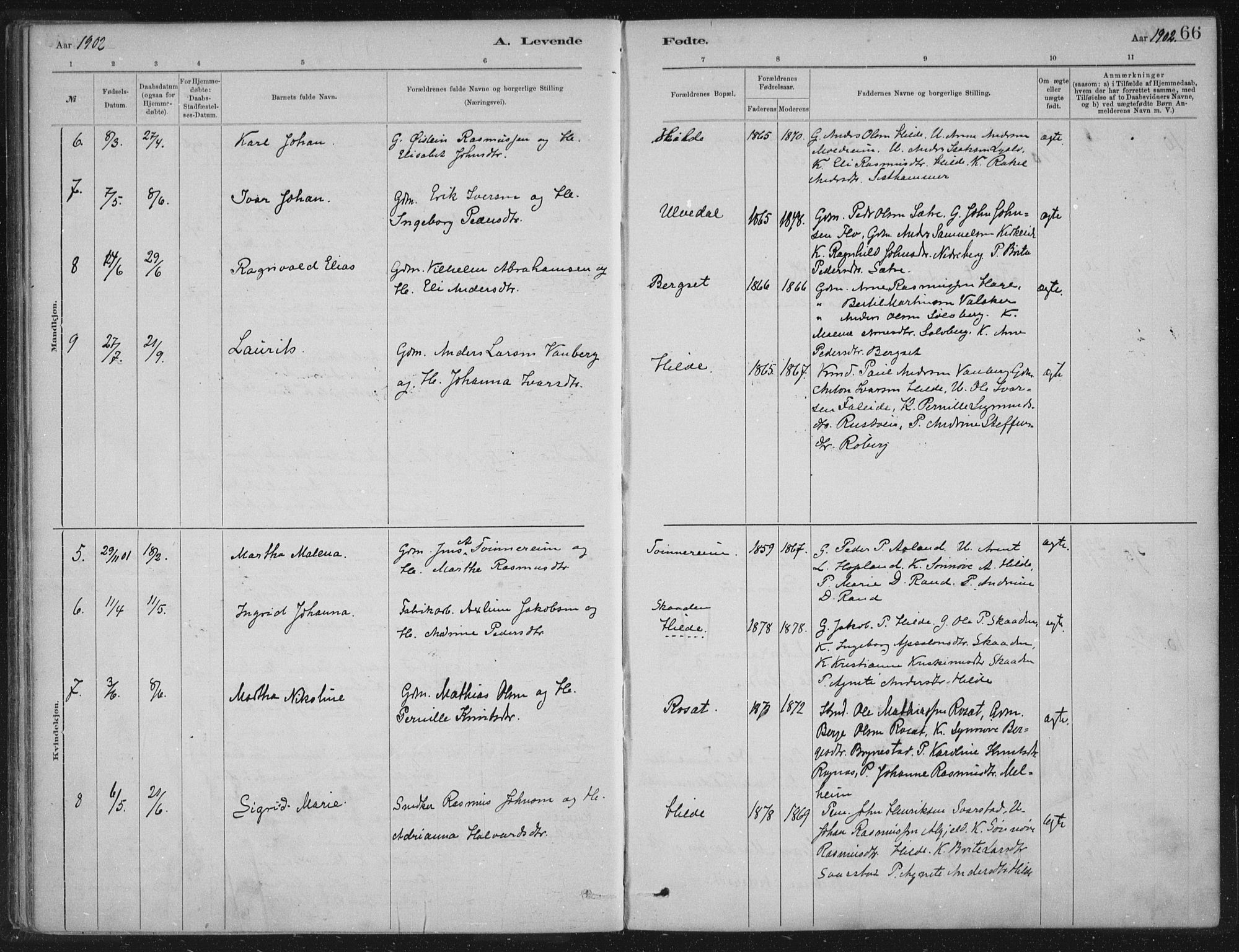 Innvik sokneprestembete, AV/SAB-A-80501: Parish register (official) no. B  1, 1879-1902, p. 66