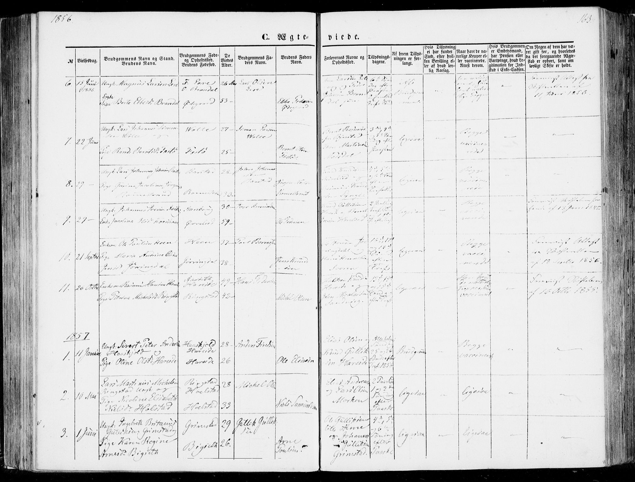 Ministerialprotokoller, klokkerbøker og fødselsregistre - Møre og Romsdal, SAT/A-1454/510/L0121: Parish register (official) no. 510A01, 1848-1877, p. 163