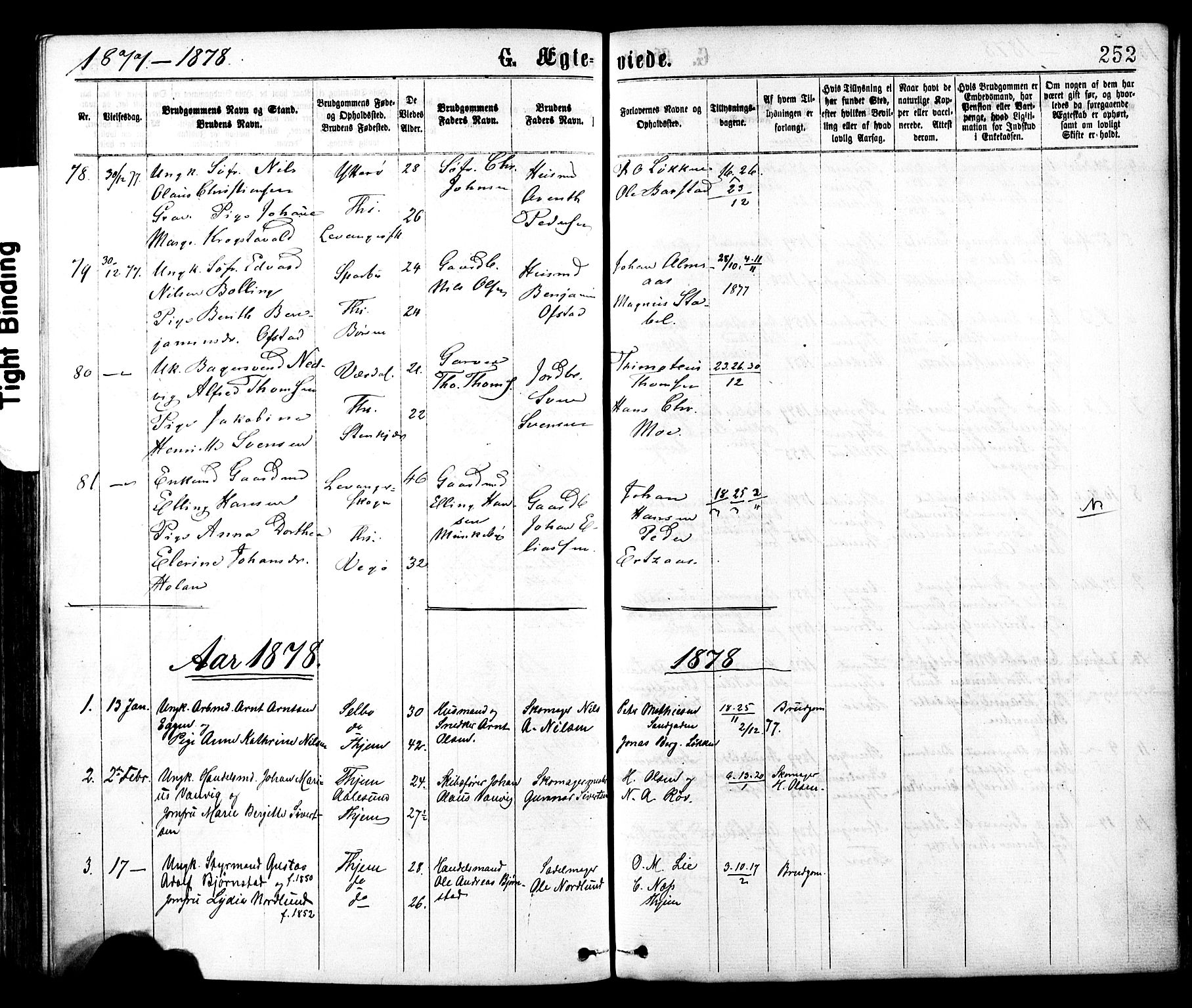 Ministerialprotokoller, klokkerbøker og fødselsregistre - Sør-Trøndelag, SAT/A-1456/602/L0118: Parish register (official) no. 602A16, 1873-1879, p. 252