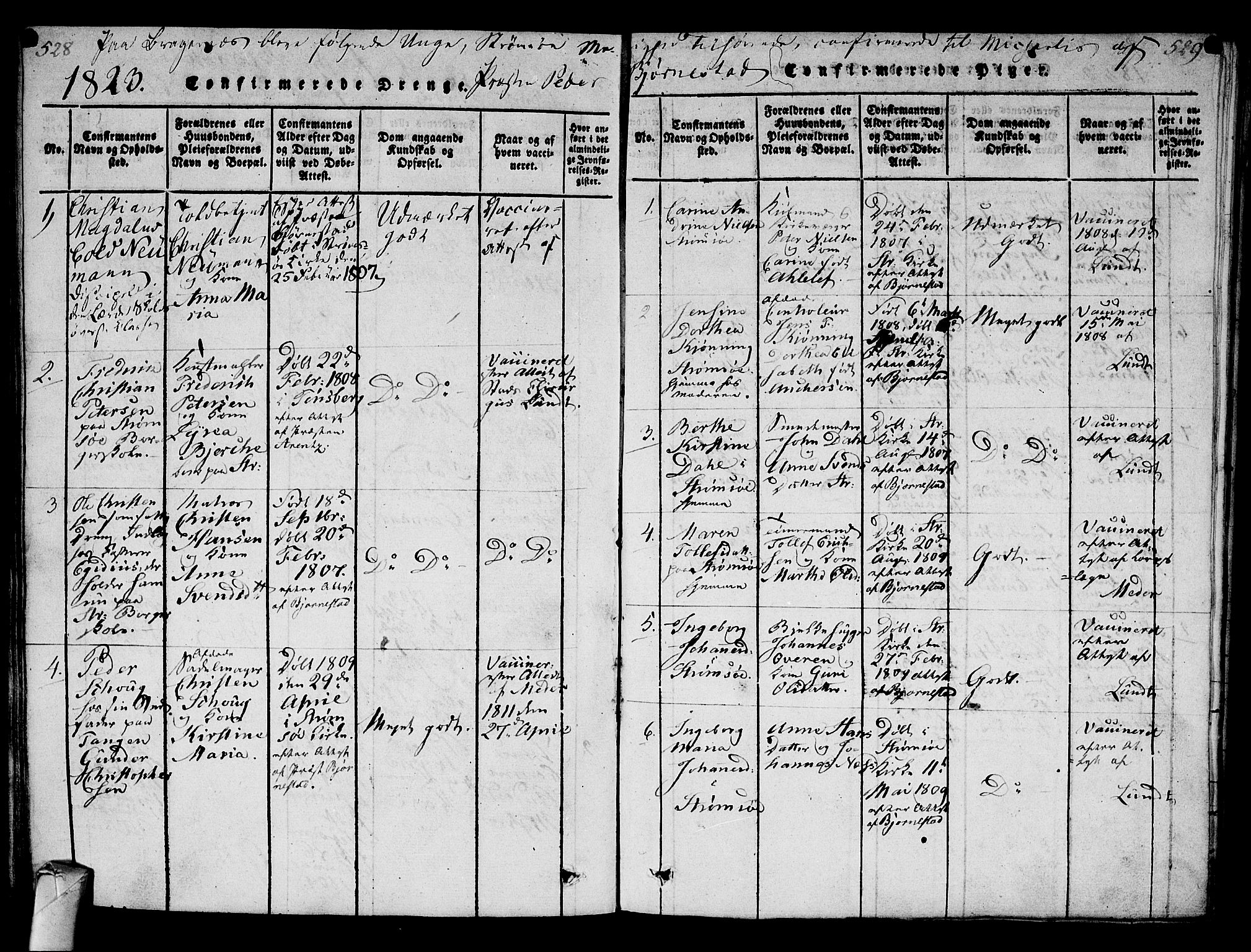 Strømsø kirkebøker, AV/SAKO-A-246/G/Ga/L0001: Parish register (copy) no. 1, 1815-1829, p. 528-529