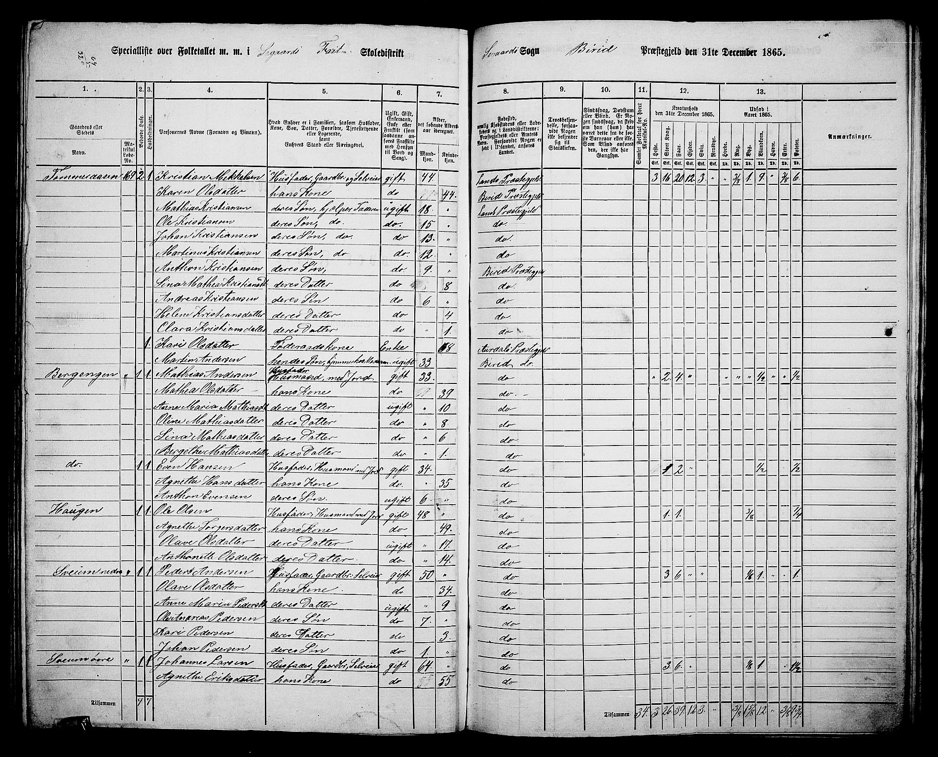 RA, 1865 census for Biri, 1865, p. 161