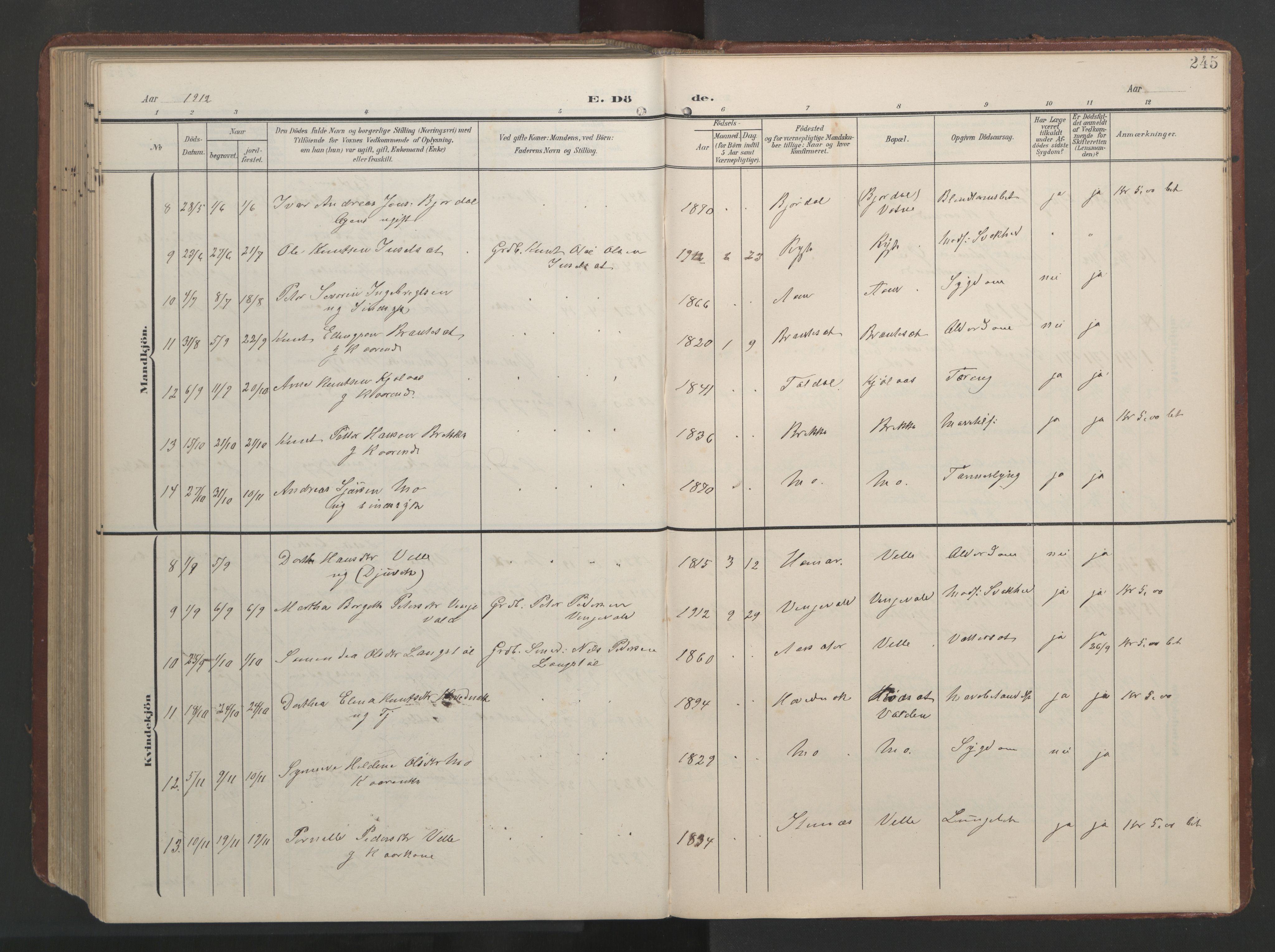 Ministerialprotokoller, klokkerbøker og fødselsregistre - Møre og Romsdal, AV/SAT-A-1454/513/L0190: Parish register (copy) no. 513C04, 1904-1926, p. 245