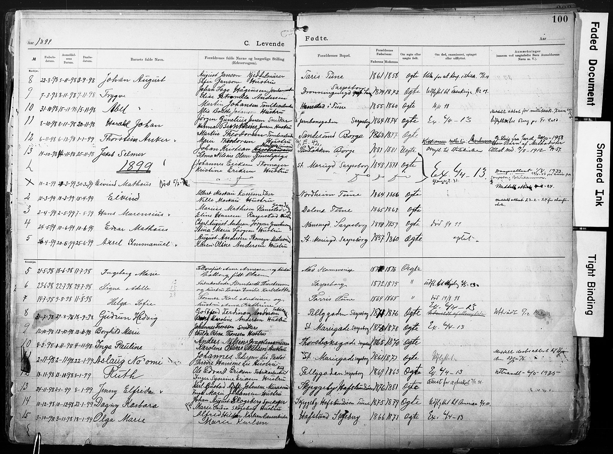 Sarpsborg metodistkirke, SAO/PAO-0233/A/L0004: Dissenter register no. 4, 1892-1923, p. 100