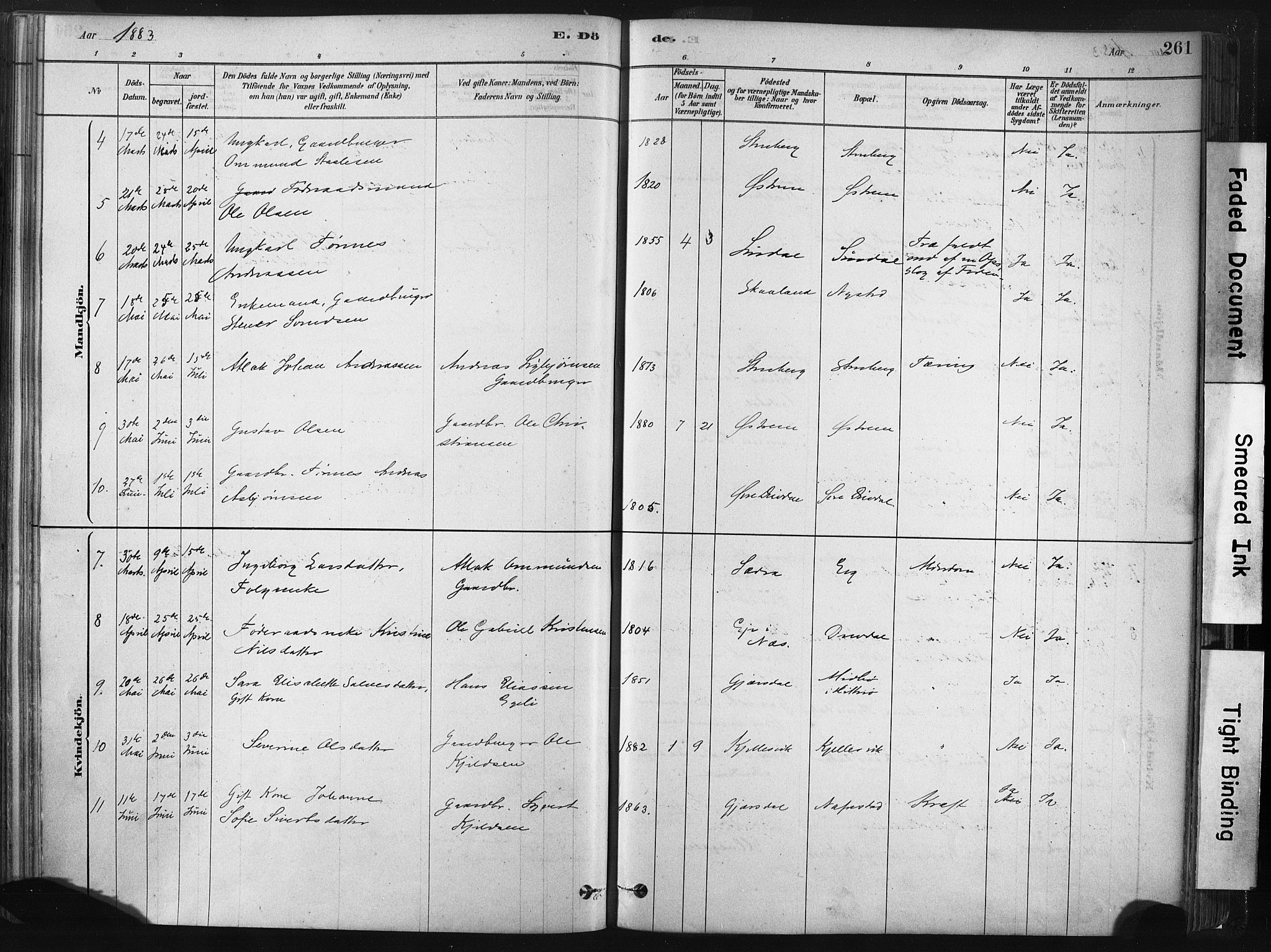 Lund sokneprestkontor, AV/SAST-A-101809/S06/L0011: Parish register (official) no. A 10, 1877-1904, p. 261