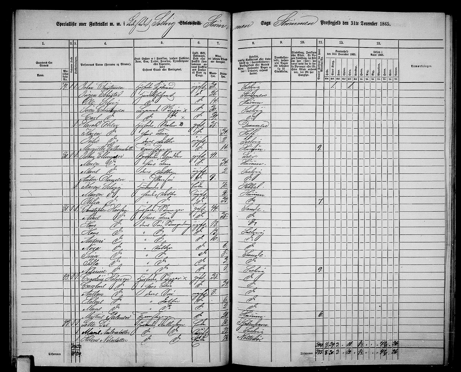 RA, 1865 census for Strømm, 1865, p. 80