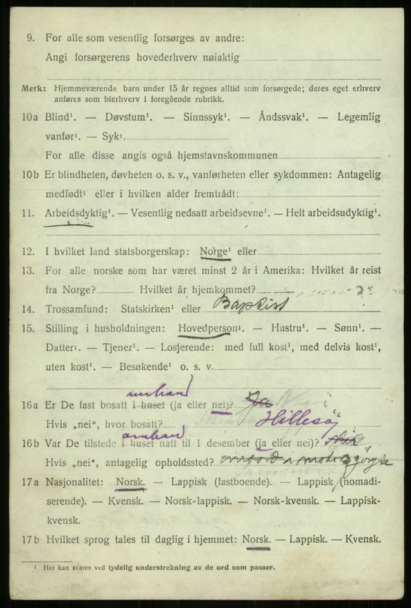 SATØ, 1920 census for Hillesøy, 1920, p. 1924