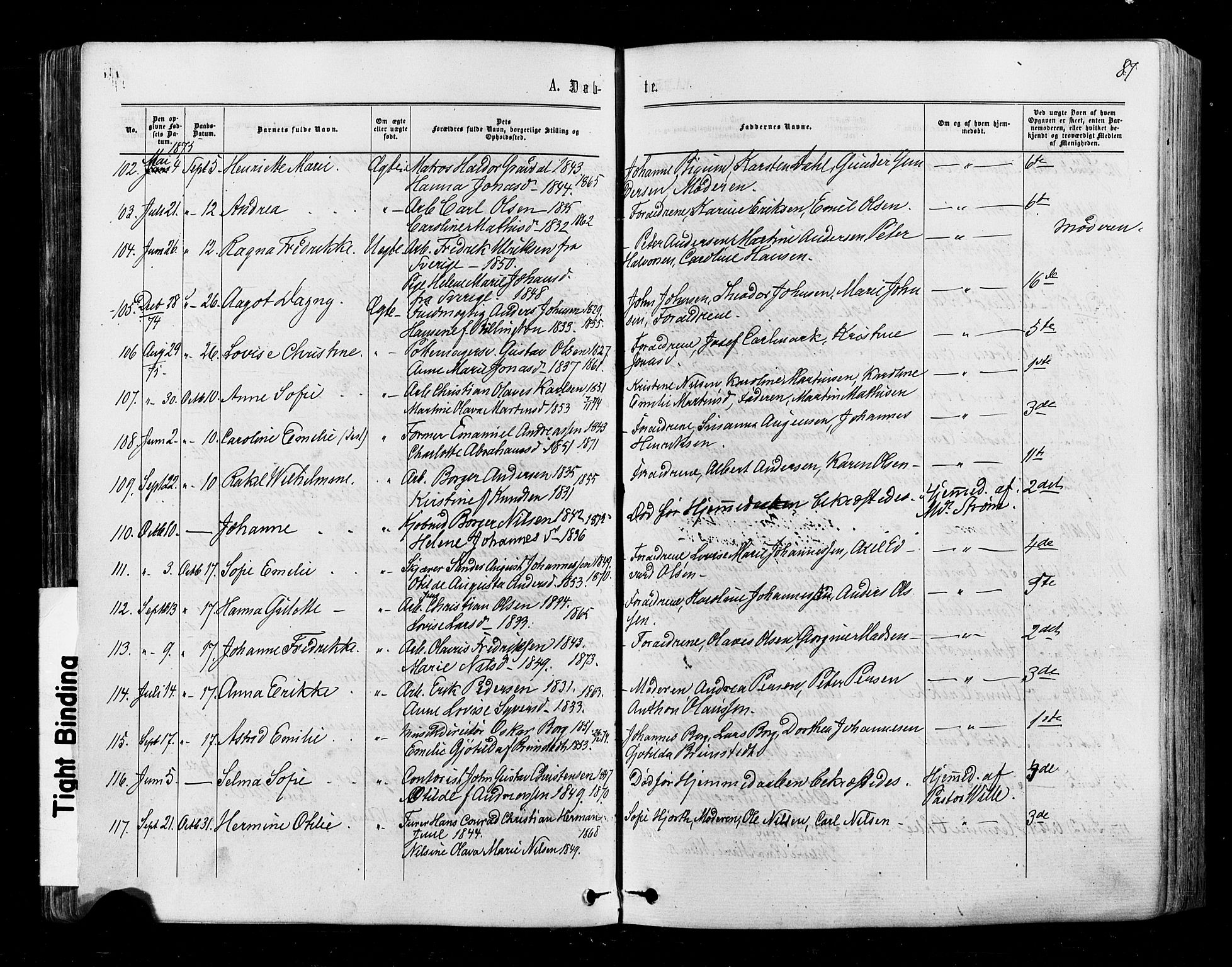 Halden prestekontor Kirkebøker, AV/SAO-A-10909/F/Fa/L0009: Parish register (official) no. I 9, 1866-1877, p. 87