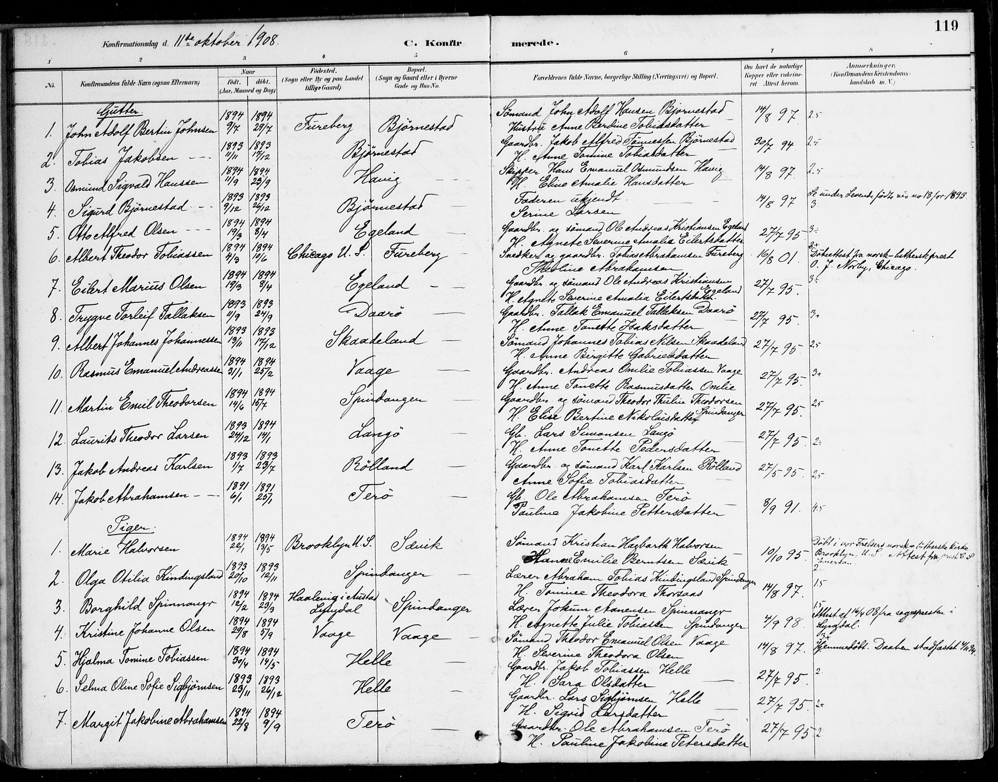 Herad sokneprestkontor, AV/SAK-1111-0018/F/Fa/Fab/L0005: Parish register (official) no. A 5, 1886-1913, p. 119