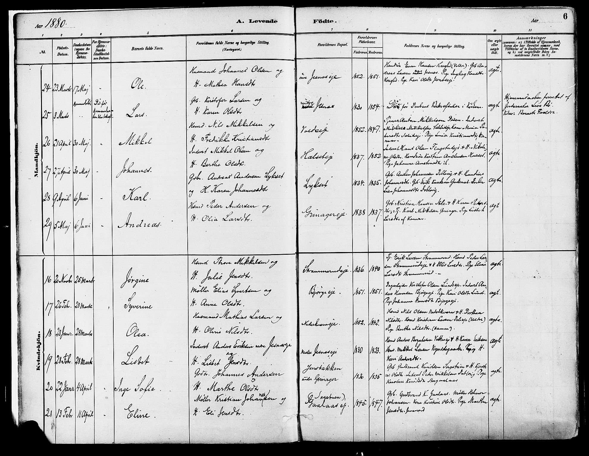 Vang prestekontor, Hedmark, SAH/PREST-008/H/Ha/Haa/L0018A: Parish register (official) no. 18A, 1880-1906, p. 6
