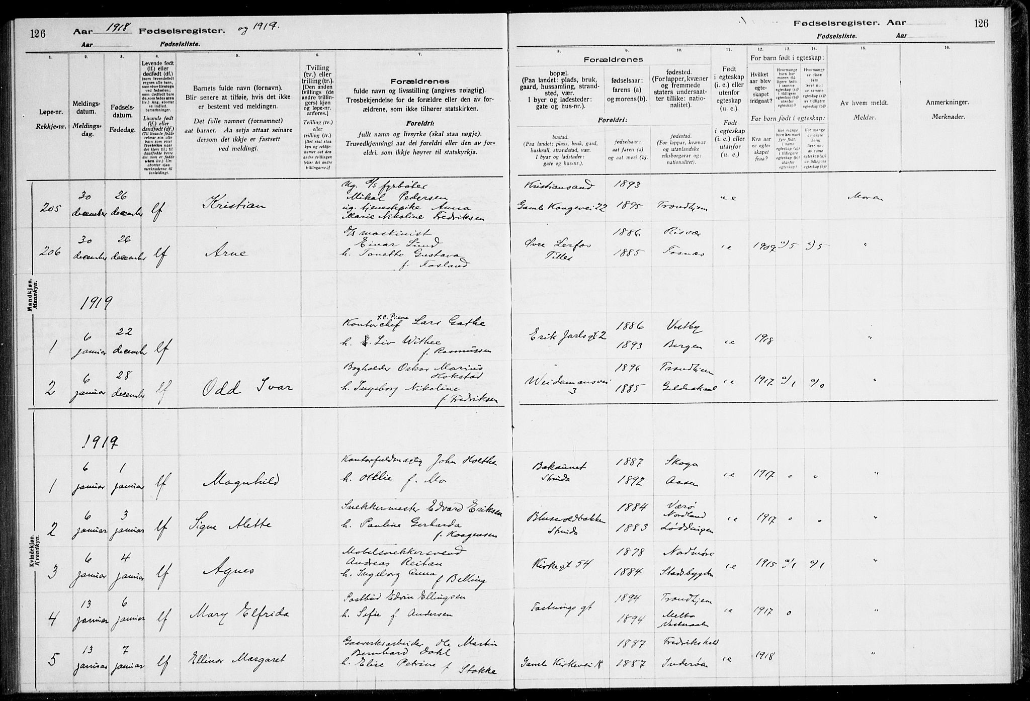 Ministerialprotokoller, klokkerbøker og fødselsregistre - Sør-Trøndelag, SAT/A-1456/600/L0002: Birth register no. 600.II.4.1, 1916-1920, p. 126
