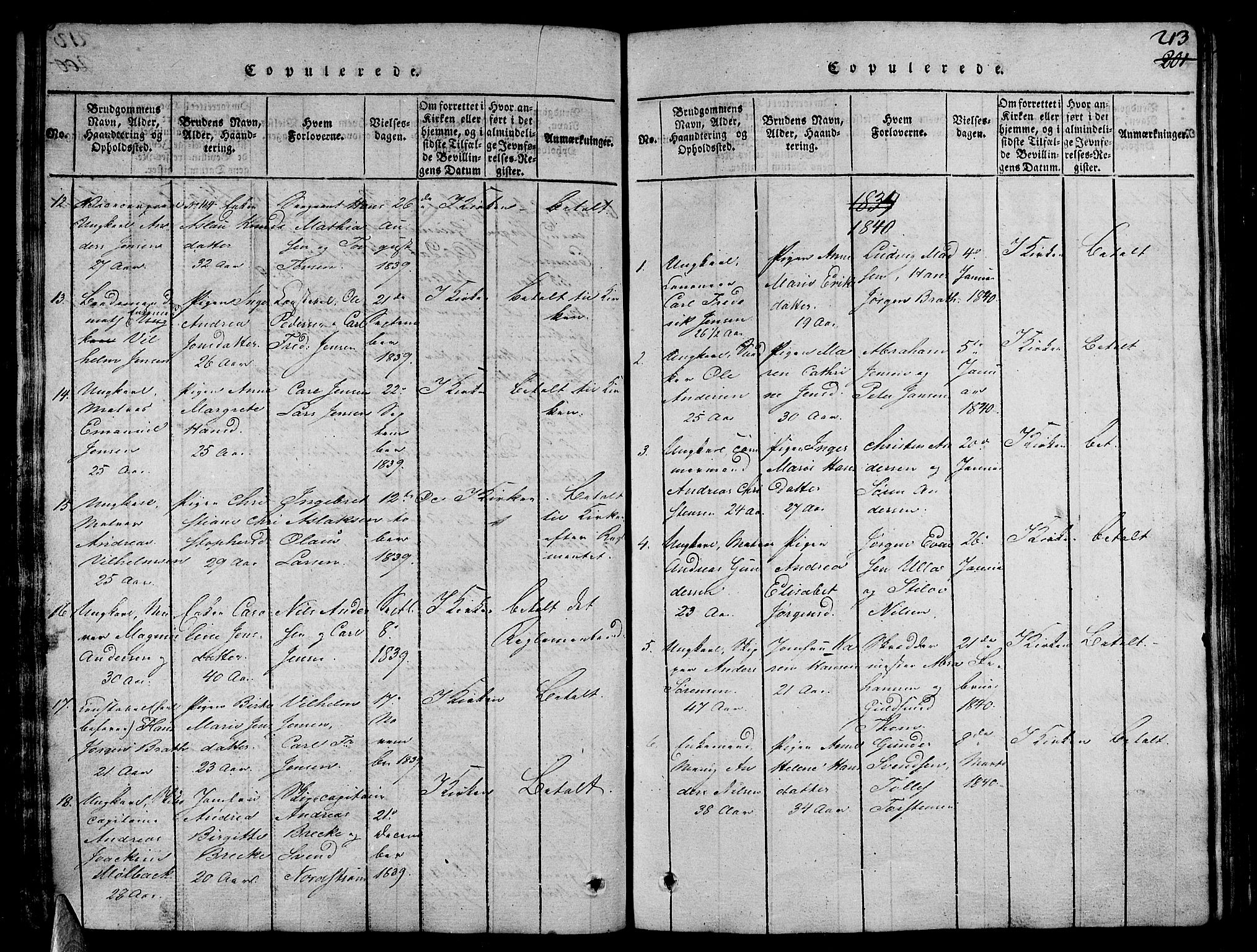 Stavern kirkebøker, AV/SAKO-A-318/G/Ga/L0001: Parish register (copy) no. 1, 1817-1841, p. 213