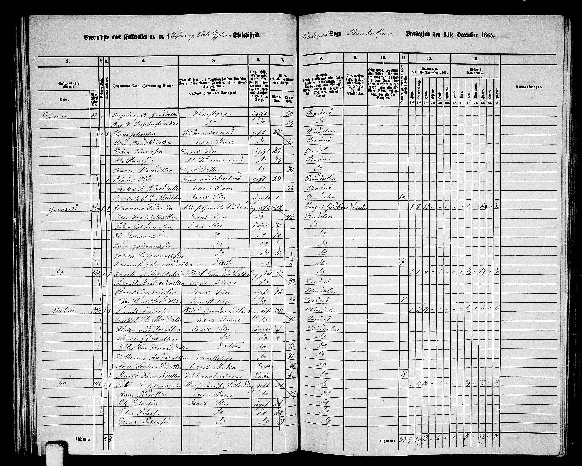 RA, 1865 census for Bindal, 1865, p. 39