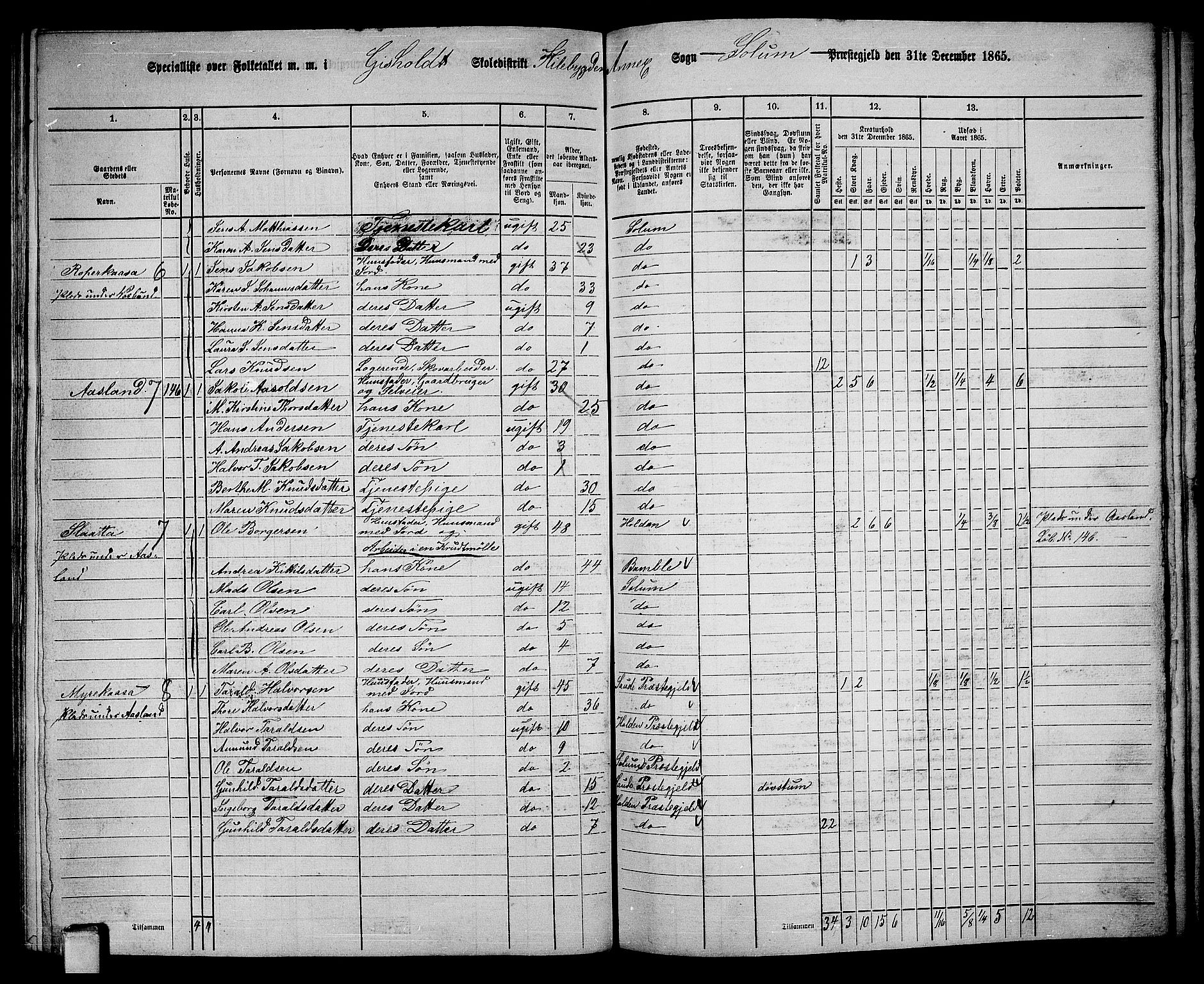 RA, 1865 census for Solum, 1865, p. 150