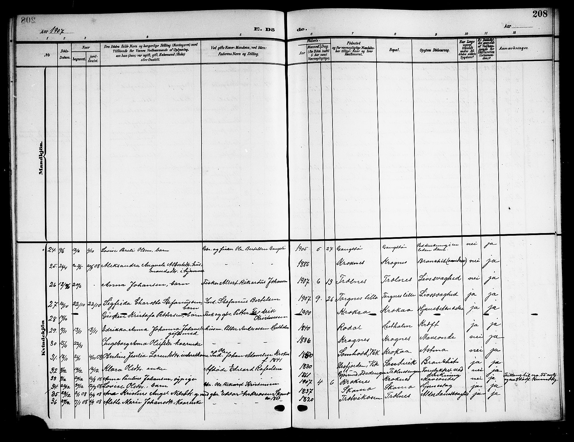 Ministerialprotokoller, klokkerbøker og fødselsregistre - Nordland, SAT/A-1459/813/L0214: Parish register (copy) no. 813C06, 1904-1917, p. 208