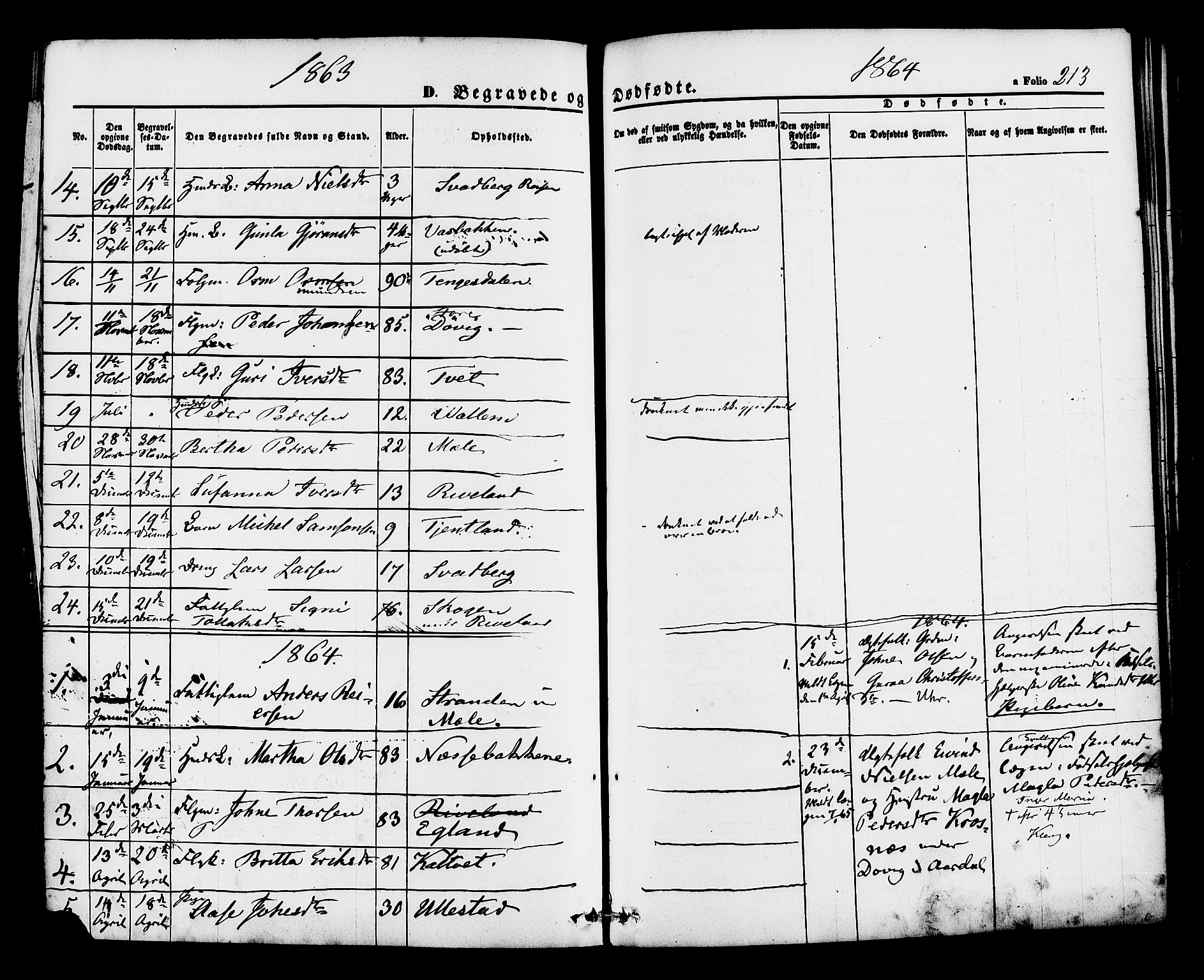 Hjelmeland sokneprestkontor, AV/SAST-A-101843/01/IV/L0012: Parish register (official) no. A 12, 1862-1886, p. 213