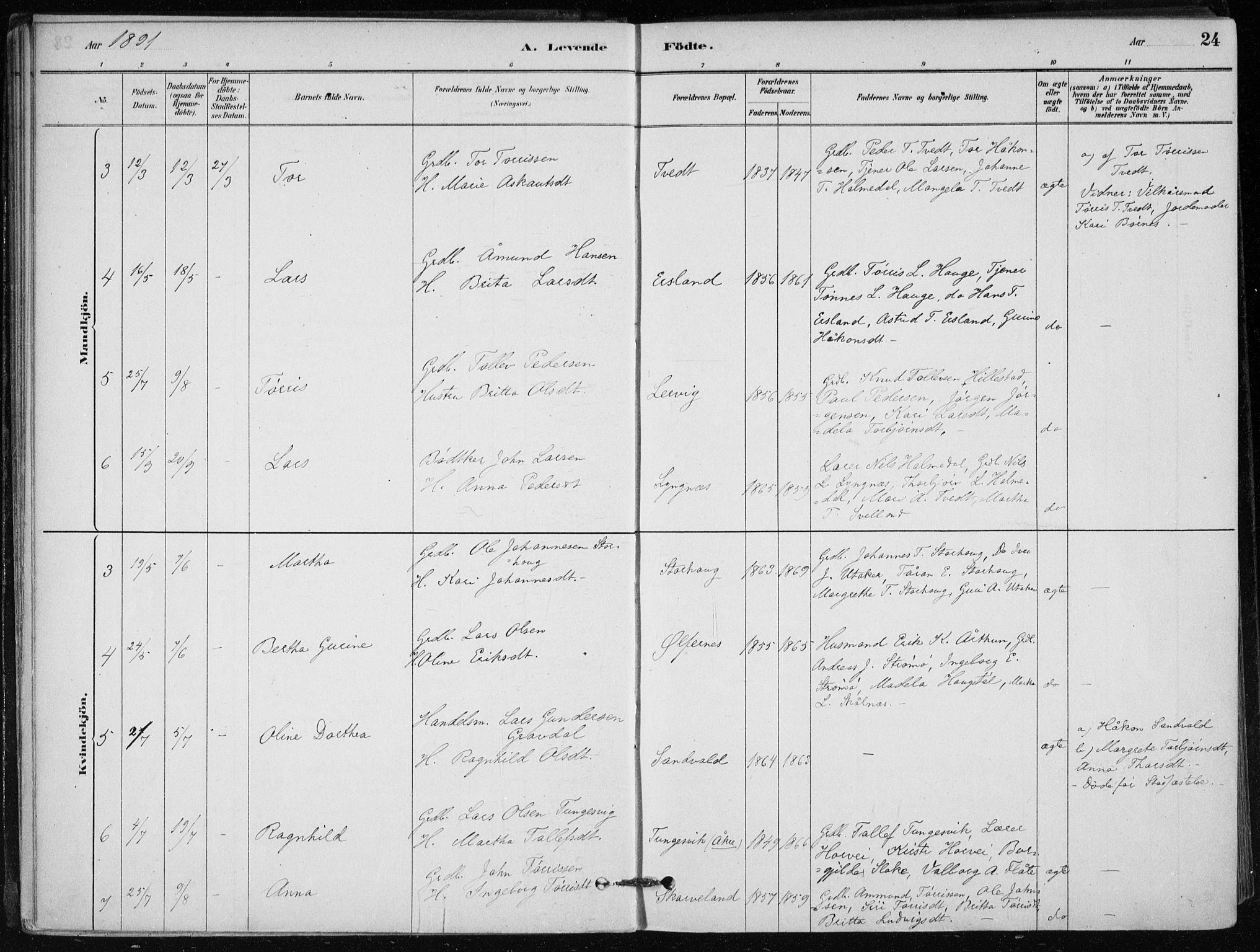 Skånevik sokneprestembete, SAB/A-77801/H/Haa: Parish register (official) no. C  1, 1879-1917, p. 24