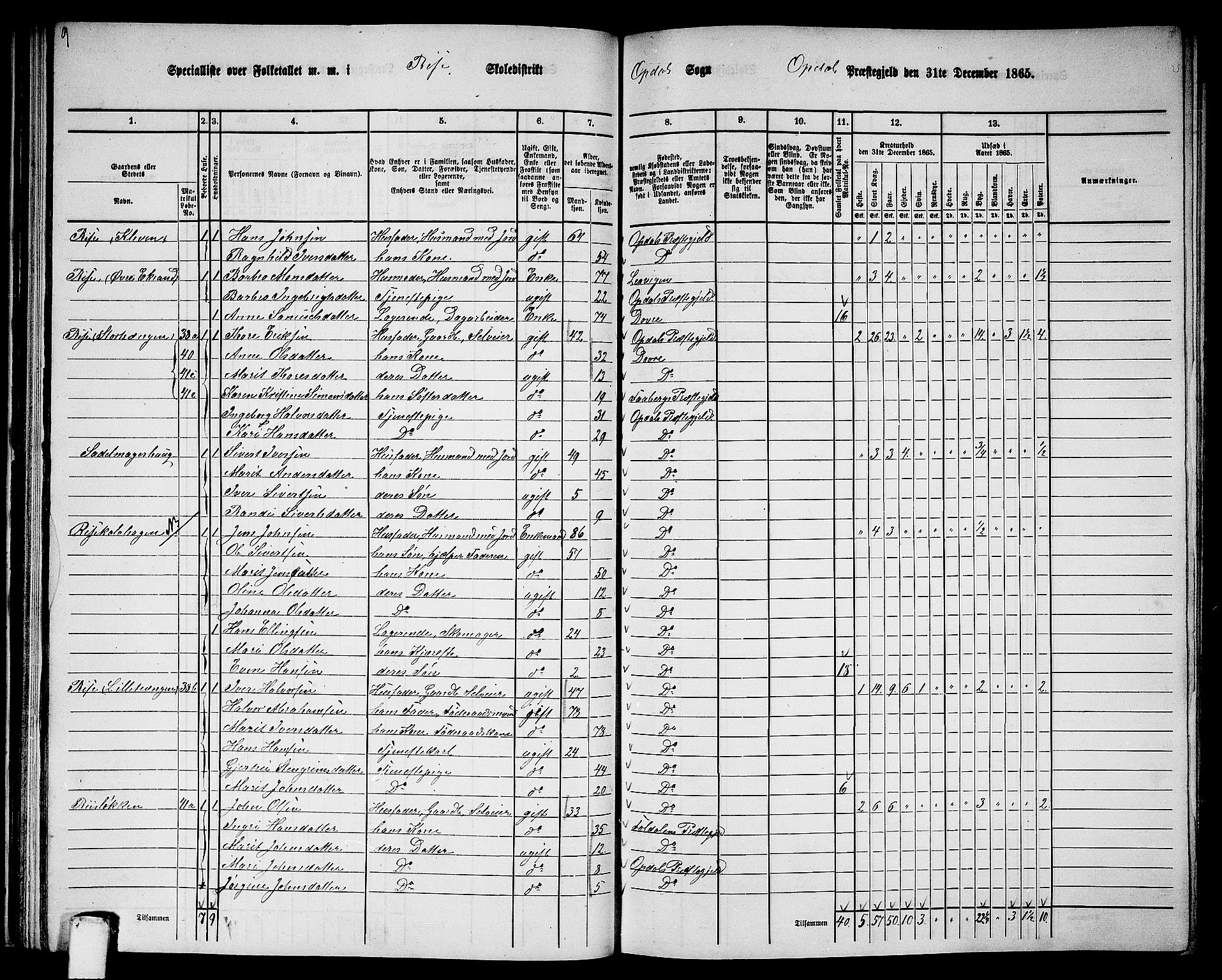 RA, 1865 census for Oppdal, 1865, p. 47