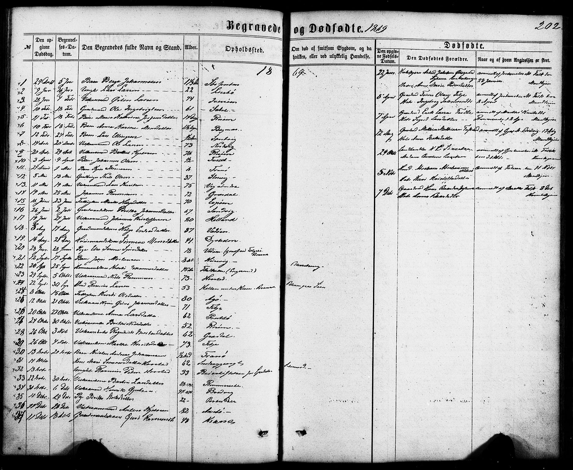 Fitjar sokneprestembete, AV/SAB-A-99926: Parish register (official) no. A 1, 1862-1881, p. 202