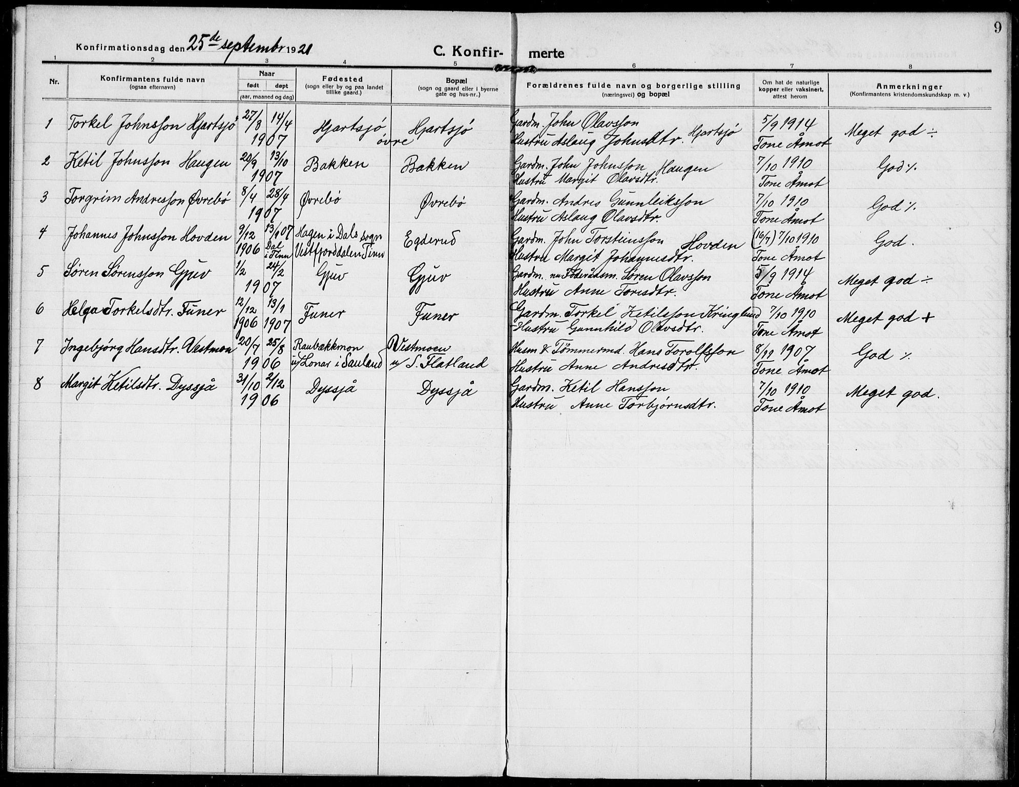 Hjartdal kirkebøker, AV/SAKO-A-270/F/Fa/L0011: Parish register (official) no. I 11, 1916-1929, p. 9