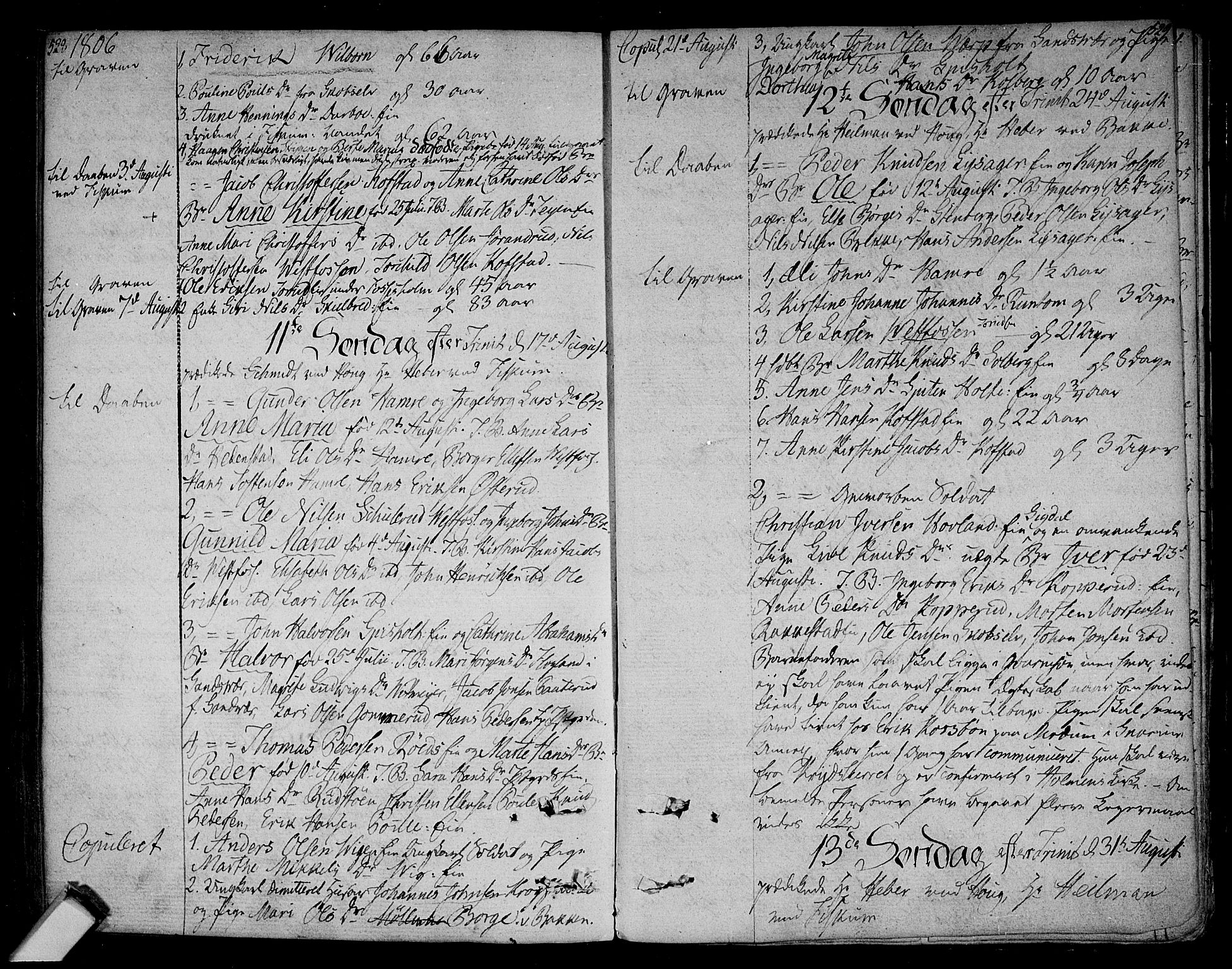 Eiker kirkebøker, AV/SAKO-A-4/F/Fa/L0009: Parish register (official) no. I 9, 1789-1806, p. 528-529