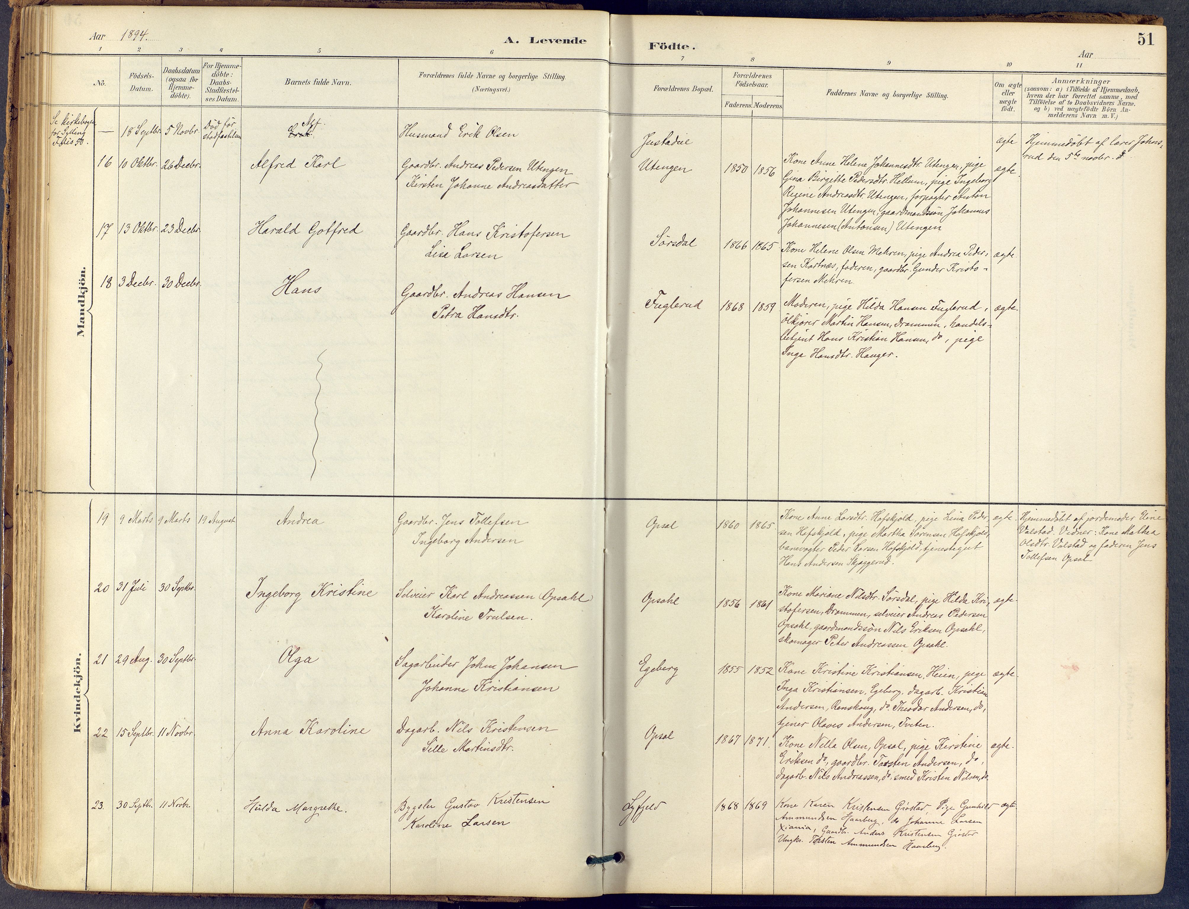 Lier kirkebøker, AV/SAKO-A-230/F/Fb/L0001: Parish register (official) no. II 1, 1883-1910, p. 51