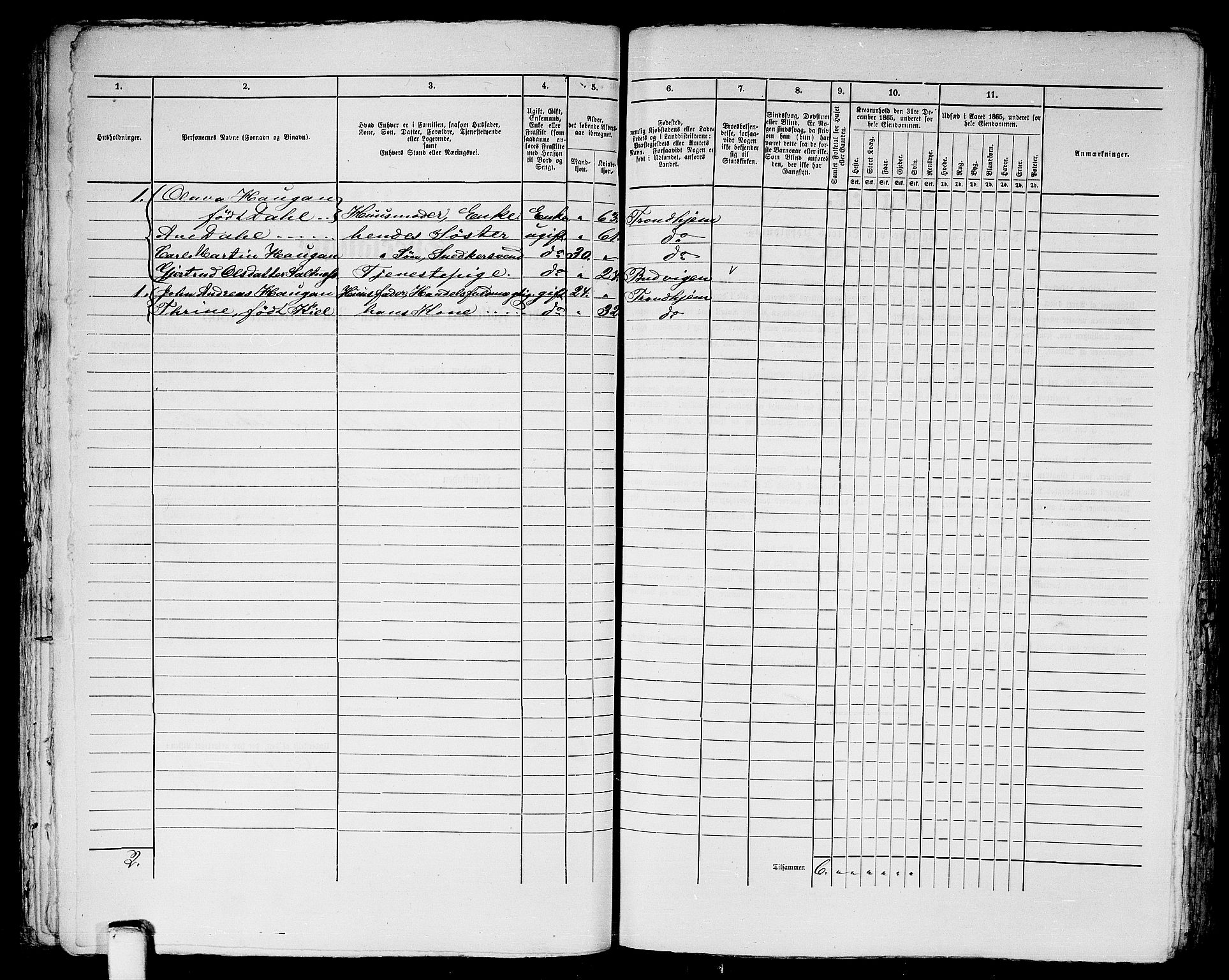 RA, 1865 census for Trondheim, 1865, p. 1223